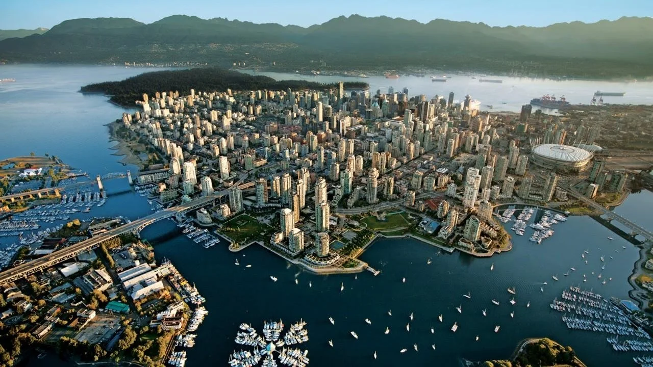 The Story Behind Leafico