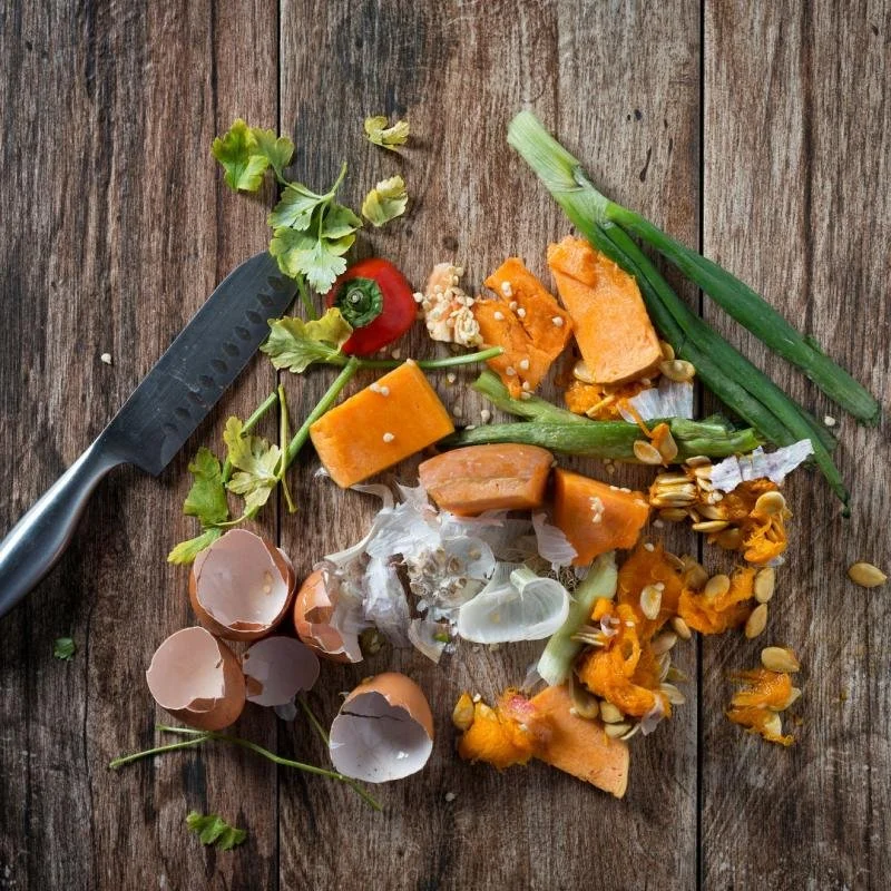 Environmental hazards of throwing leftovers down the drain