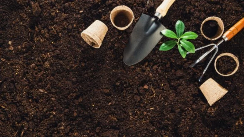 Sustainable, planet-friendly, Hobbies