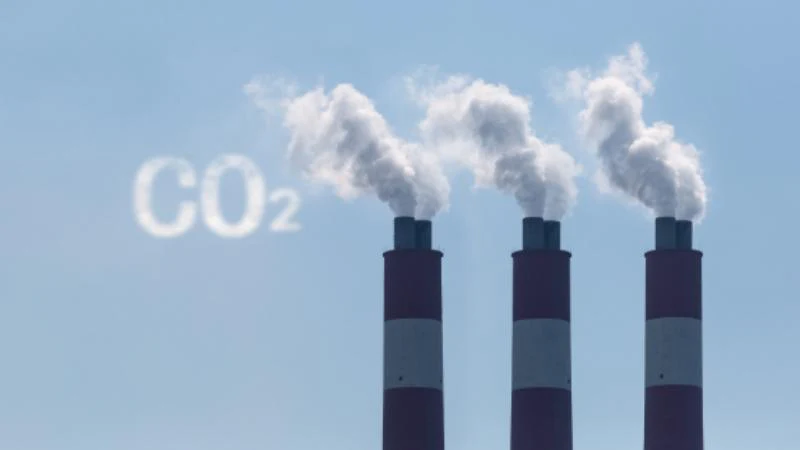 "Net Zero", "Carbon Negative"...what does it all mean?