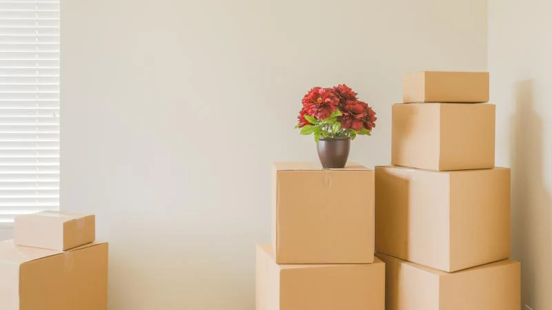 Zero waste tips for moving house