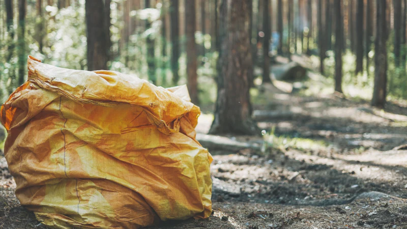 How to organize a community cleanup