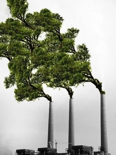 If the Earth had a voice, which image do you think it would choose?
1 or 2?
Sometimes the loudest damage is the quietest decision.

#ChooseYourFuture
#EarthConscious
#NatureOrNothing
#SustainableMindset
#TheWorldWeCreate