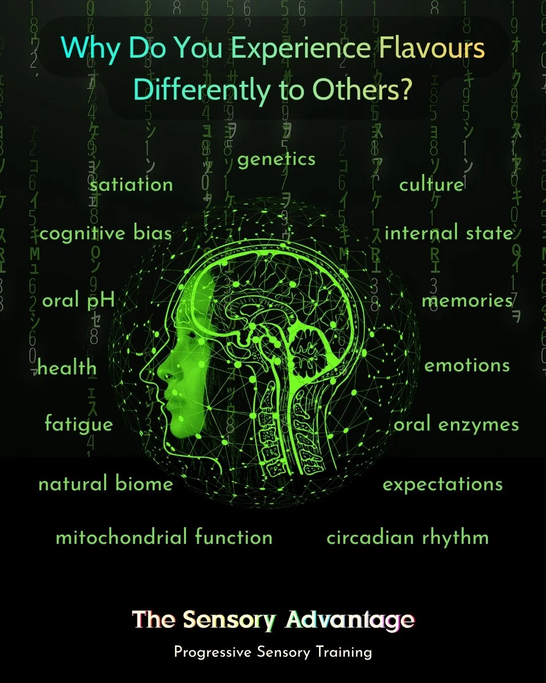 𝗪𝗵𝘆 𝗗𝗼 𝗬𝗼𝘂 𝗘𝘅𝗽𝗲𝗿𝗶𝗲𝗻𝗰𝗲 𝗙𝗹𝗮𝘃𝗼𝘂𝗿𝘀 𝗗𝗶𝗳𝗳𝗲𝗿𝗲𝗻𝘁𝗹𝘆 𝘁𝗼 𝗢𝘁𝗵𝗲𝗿𝘀?
The factors that shape how you perceive flavour are both multifarious and surprising.
Most people will have an awareness of the implications of genet