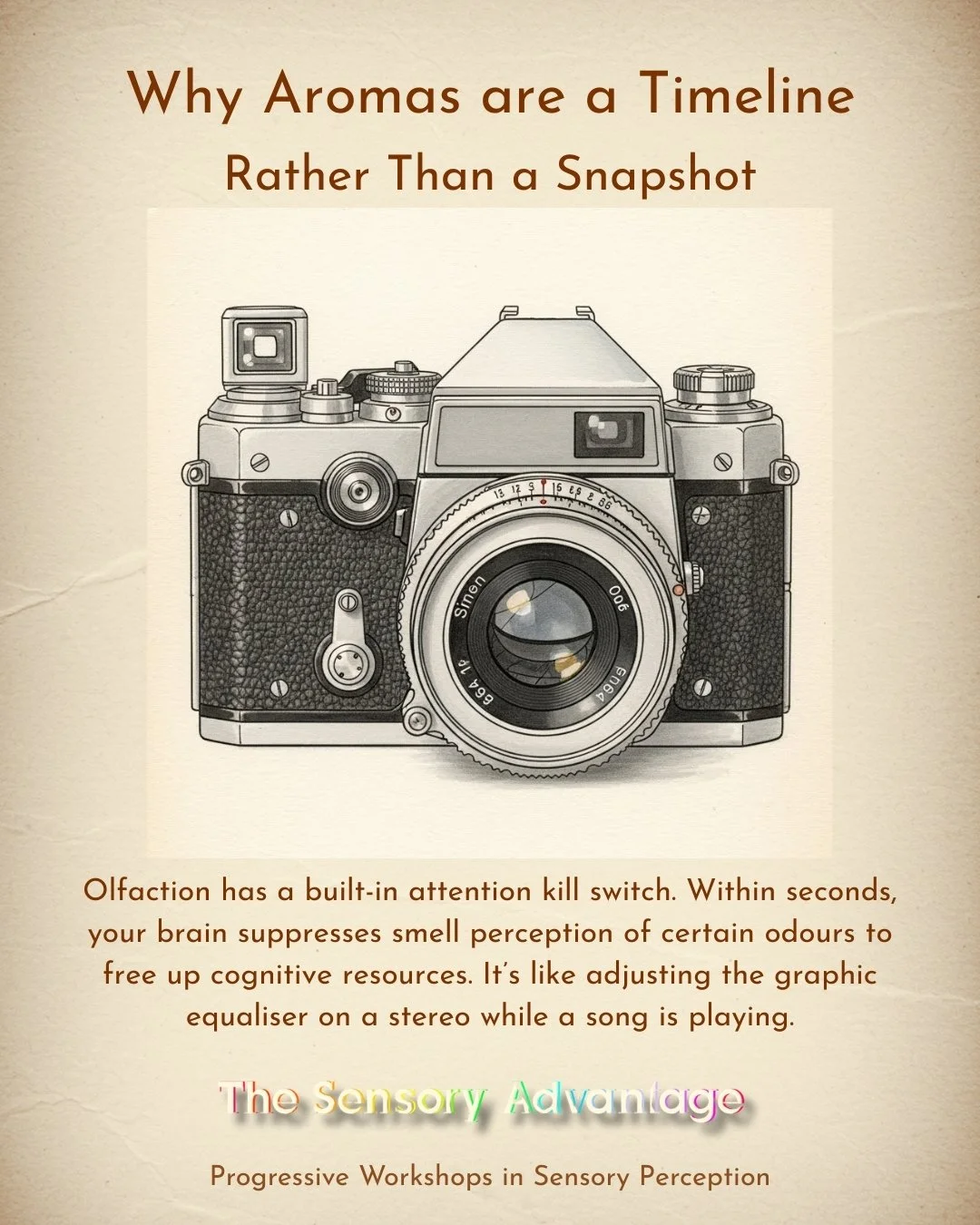 𝗬𝗼𝘂𝗿 𝗕𝗿𝗮𝗶𝗻 𝗔𝗱𝗷𝘂𝘀𝘁𝘀 𝗧𝗵𝗲 𝗘𝘅𝗽𝗲𝗿𝗶𝗲𝗻𝗰𝗲 𝗼𝗳 𝗔𝗿𝗼𝗺𝗮𝘀 𝗶𝗻 𝗥𝗲𝗮𝗹 𝘁𝗶𝗺𝗲

When you smell the same thing repeatedly, your brain&rsquo;s electrical response to that smell drops by about 50%.

So, the more you sniff, the l