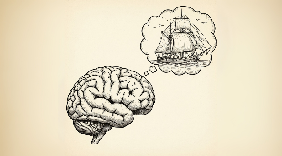 How does salt taste work in the brain