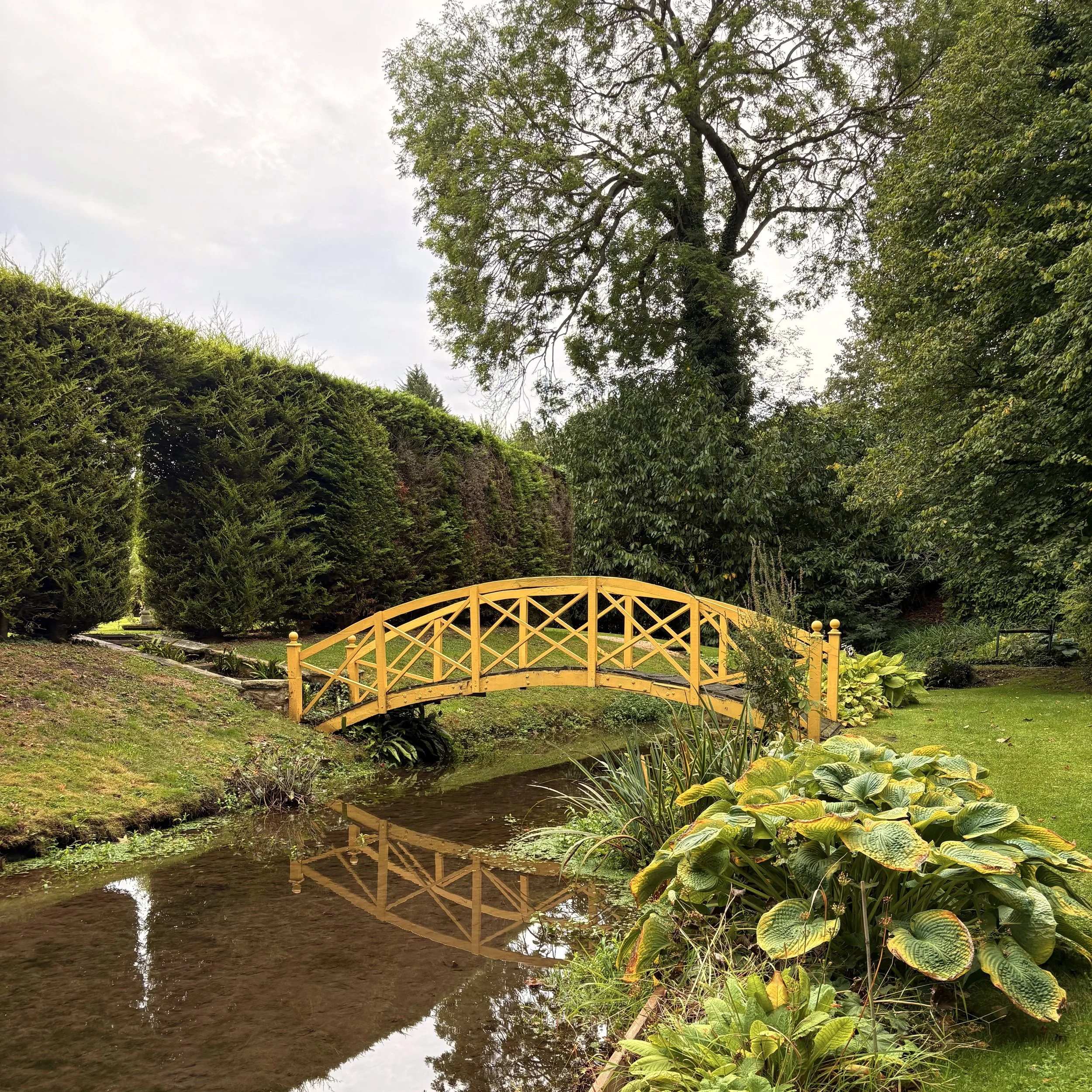 Twelve lessons over twelve months : honesty is the best policy… albeit brutal when from year twos 