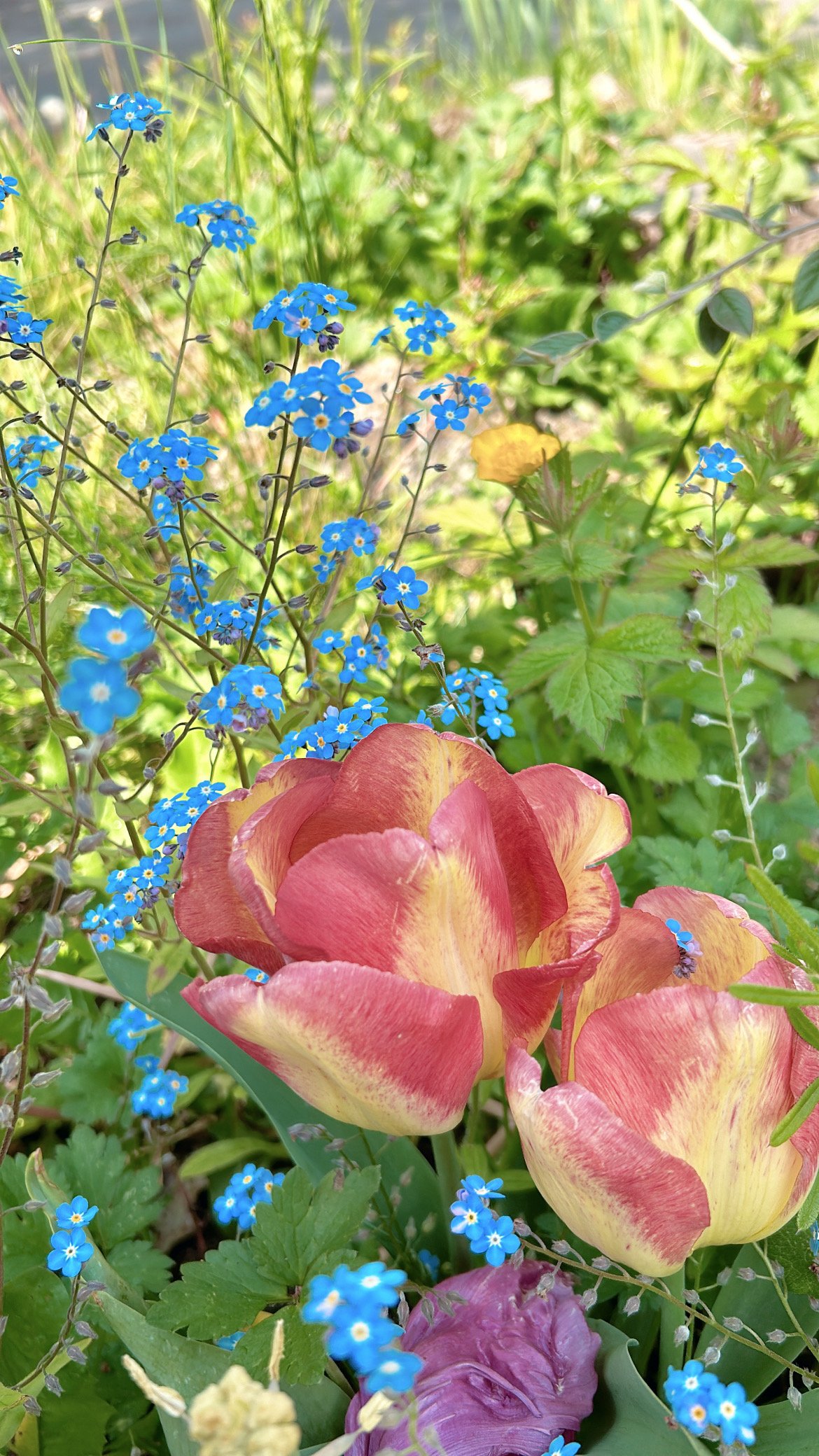 Twelve lessons over twelve months : she doesn’t need therapy, she needs an exorcism!