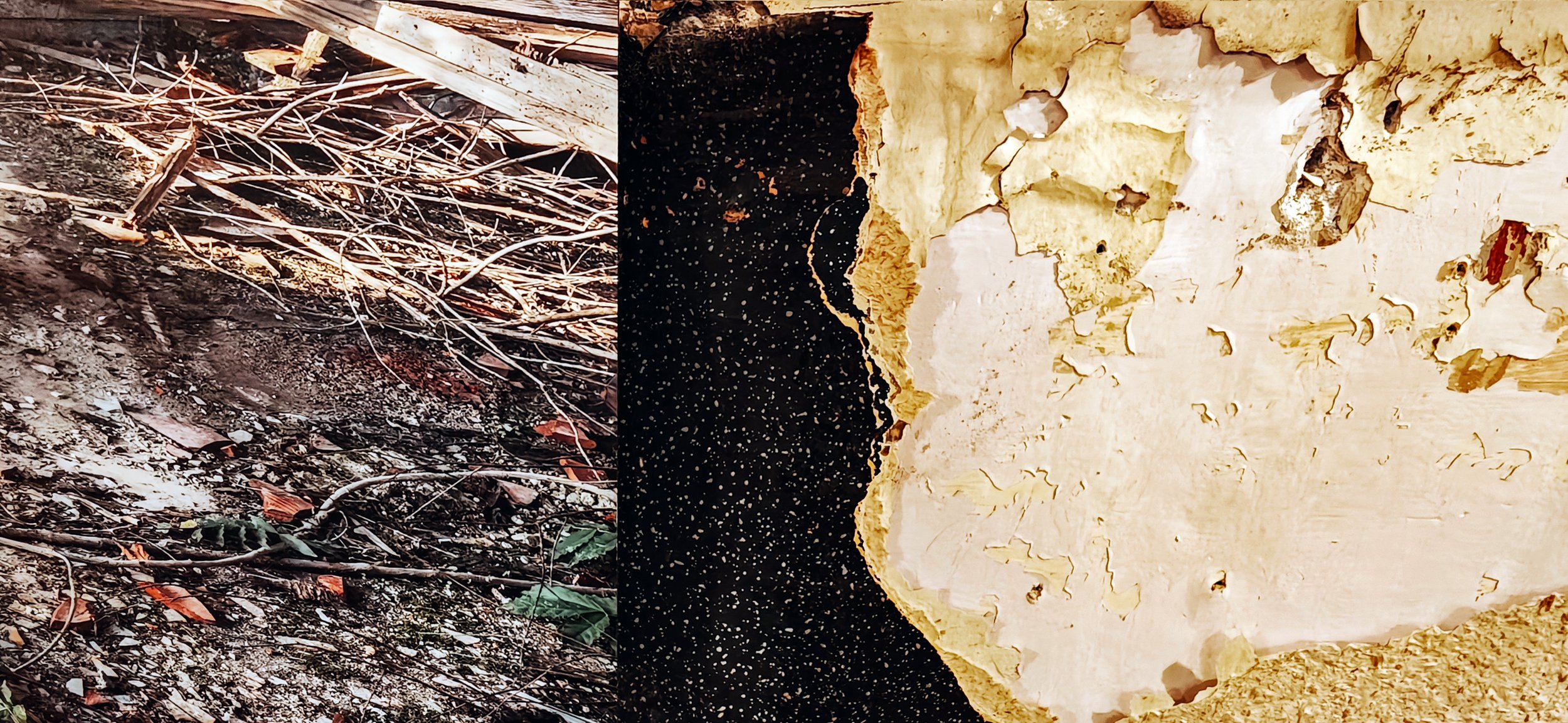 Juxtaposition No. 4 with a photograph by Gina Soden