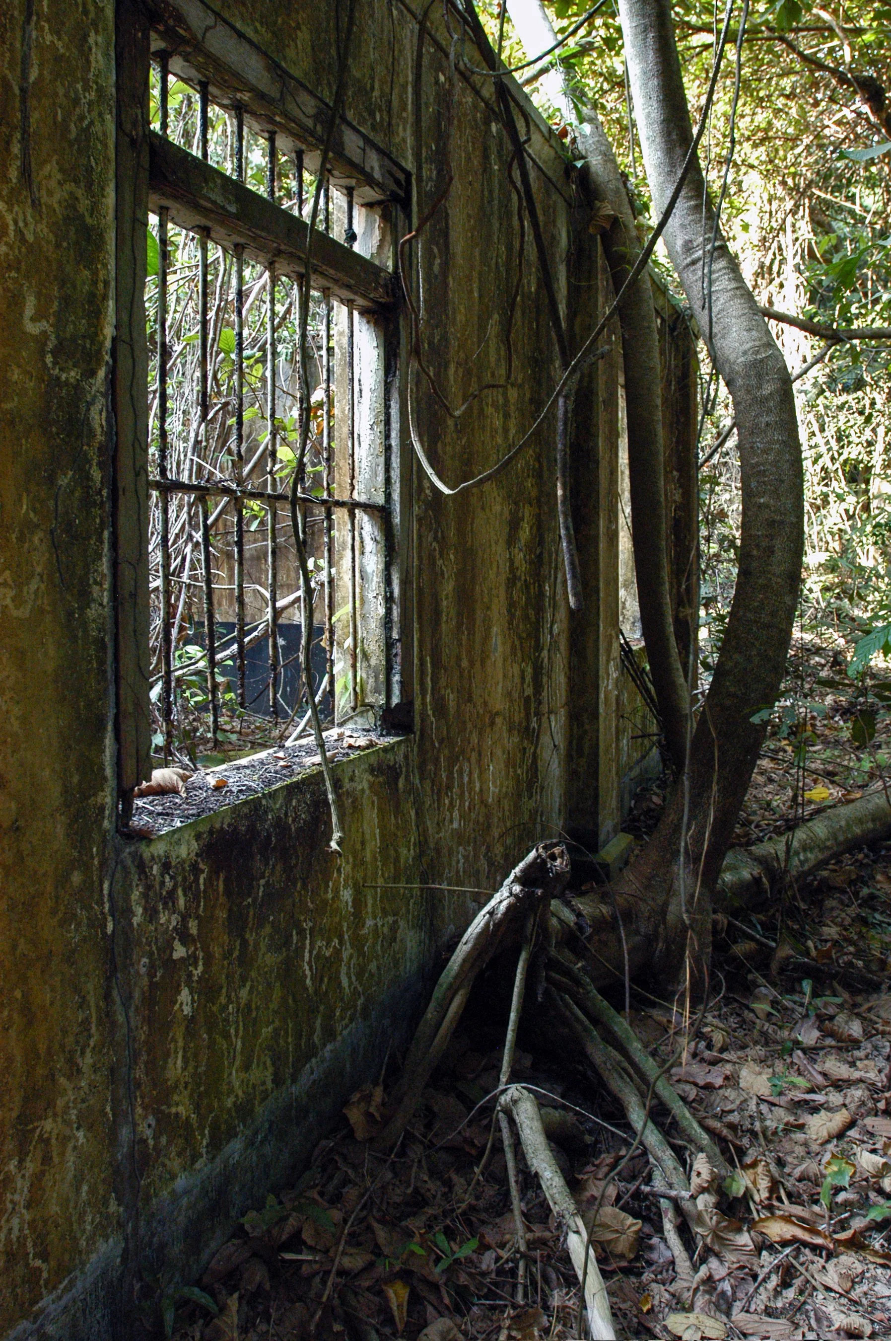 Ruine 5.jpg