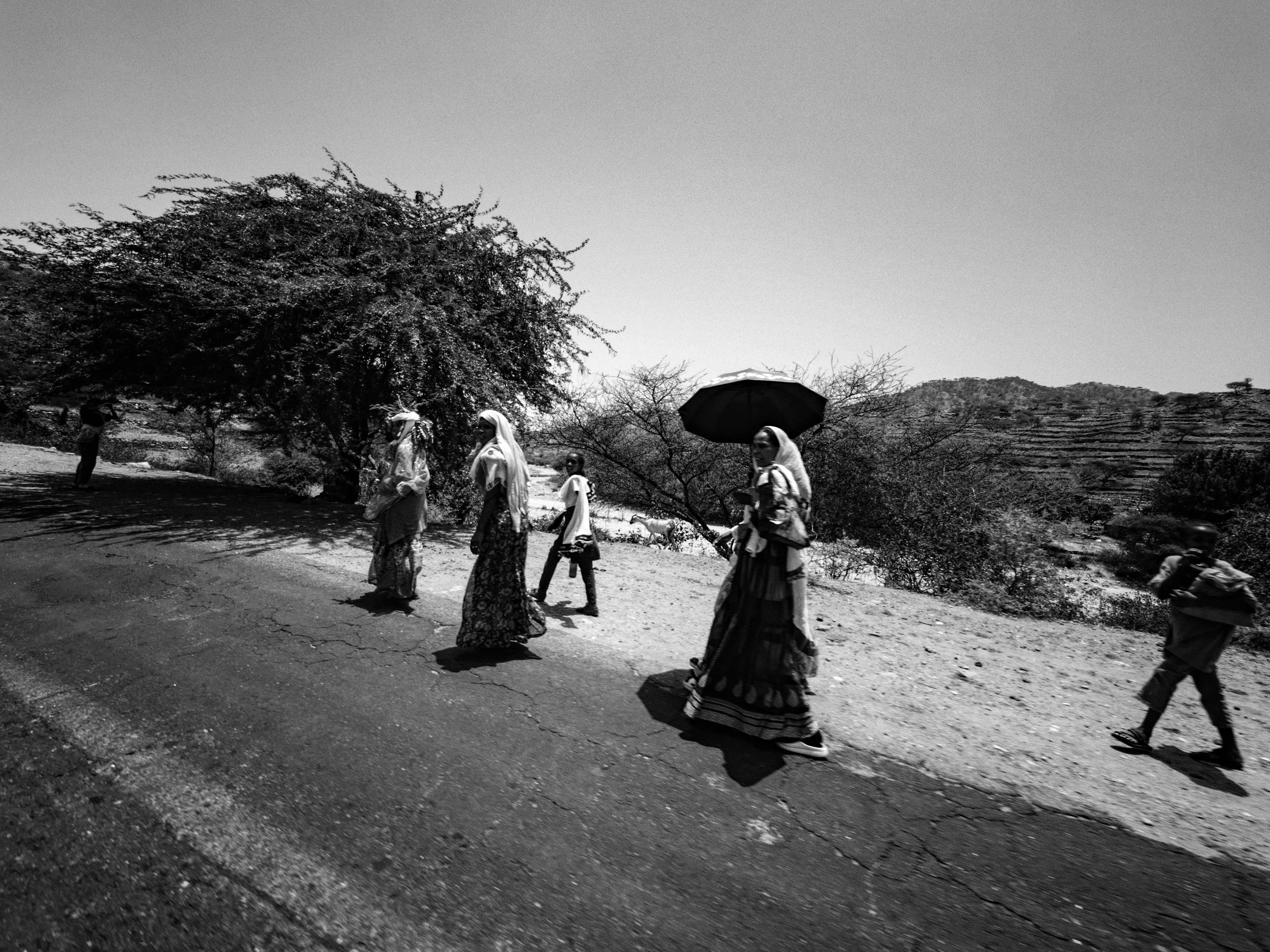 Along the road.jpg