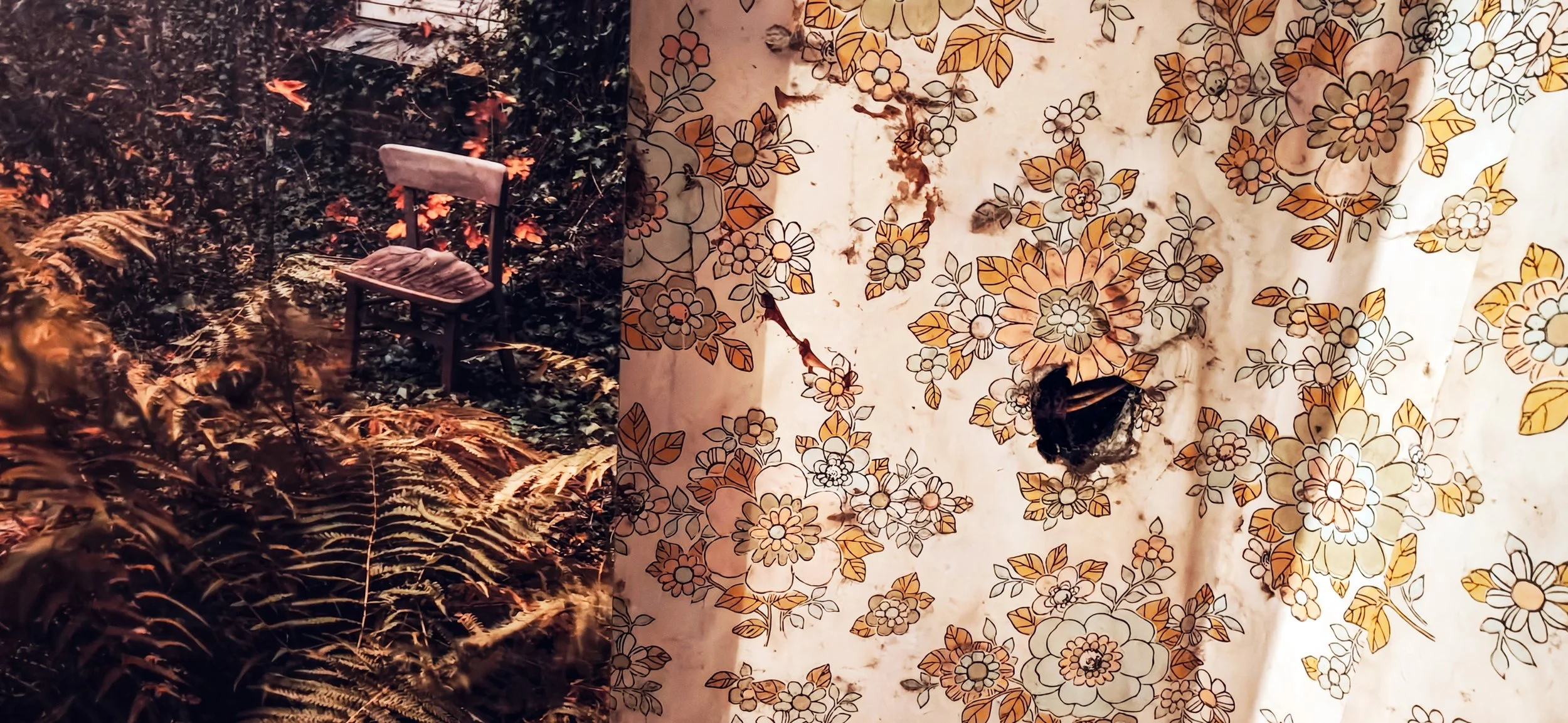 Juxtaposition No. 6 with a photograph by Gina Soden