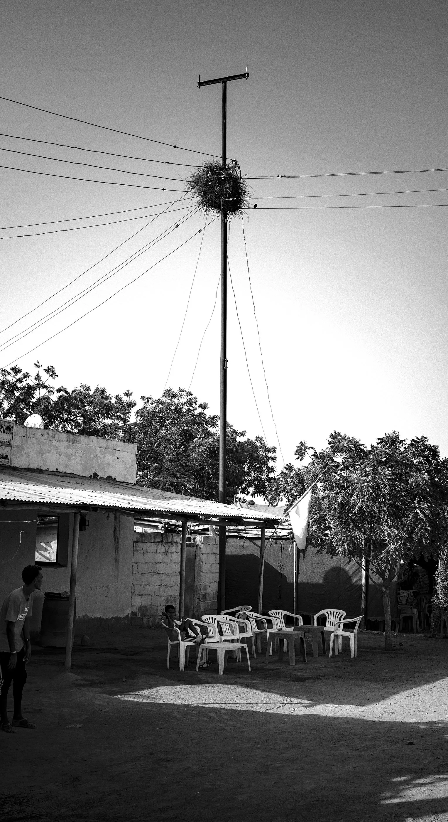 NEst.jpg