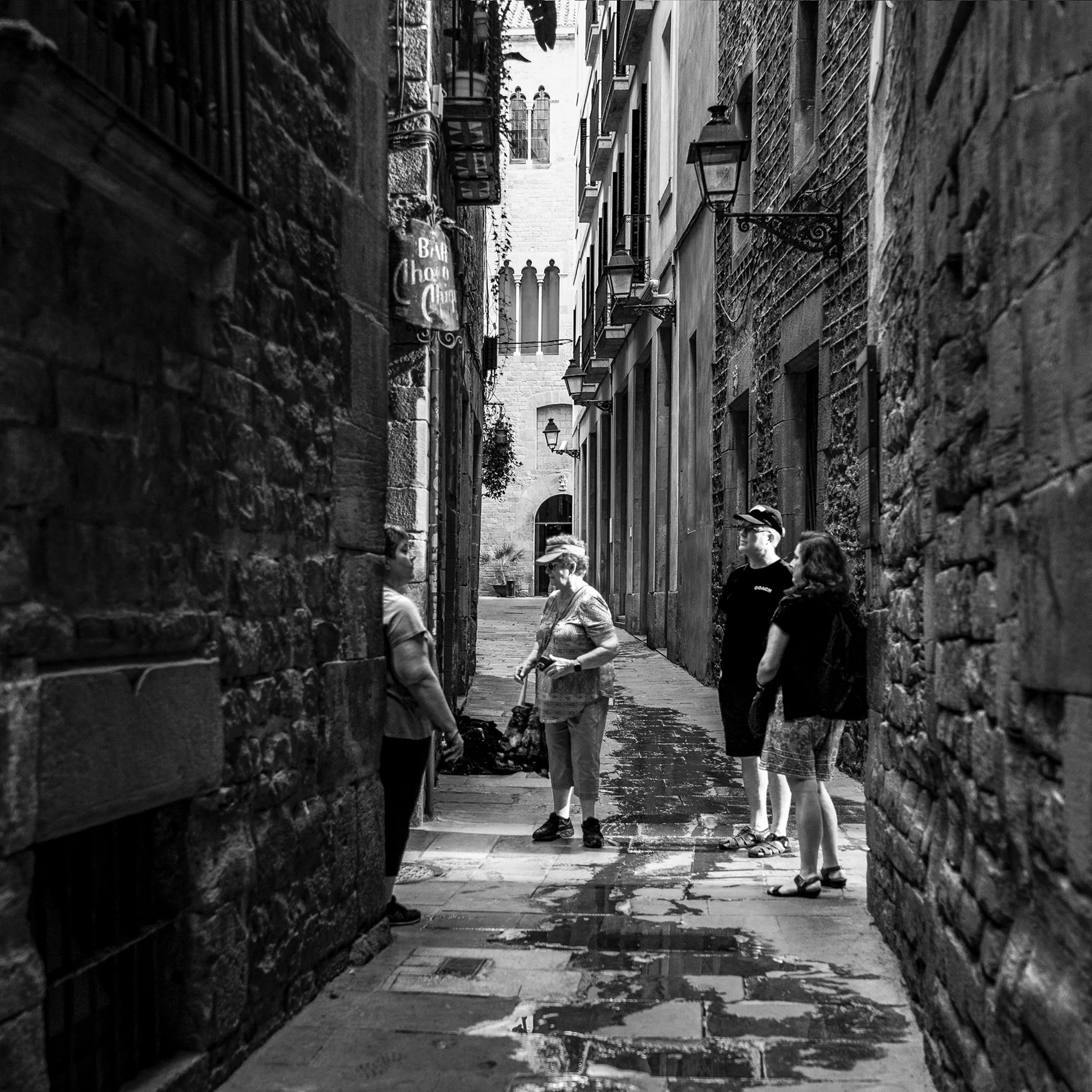Gothic tourists sw.jpg