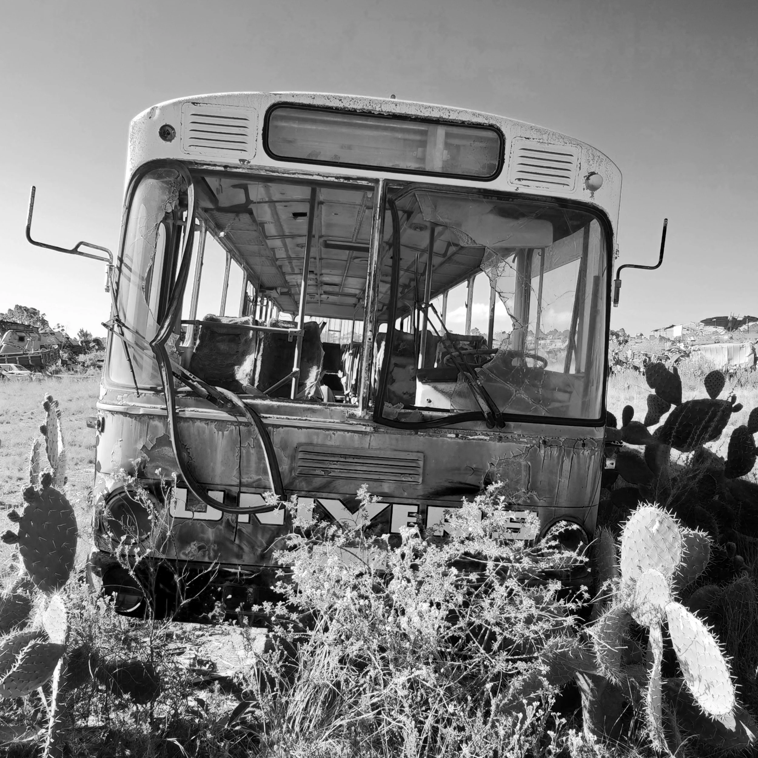 Bus 1 sw.jpg