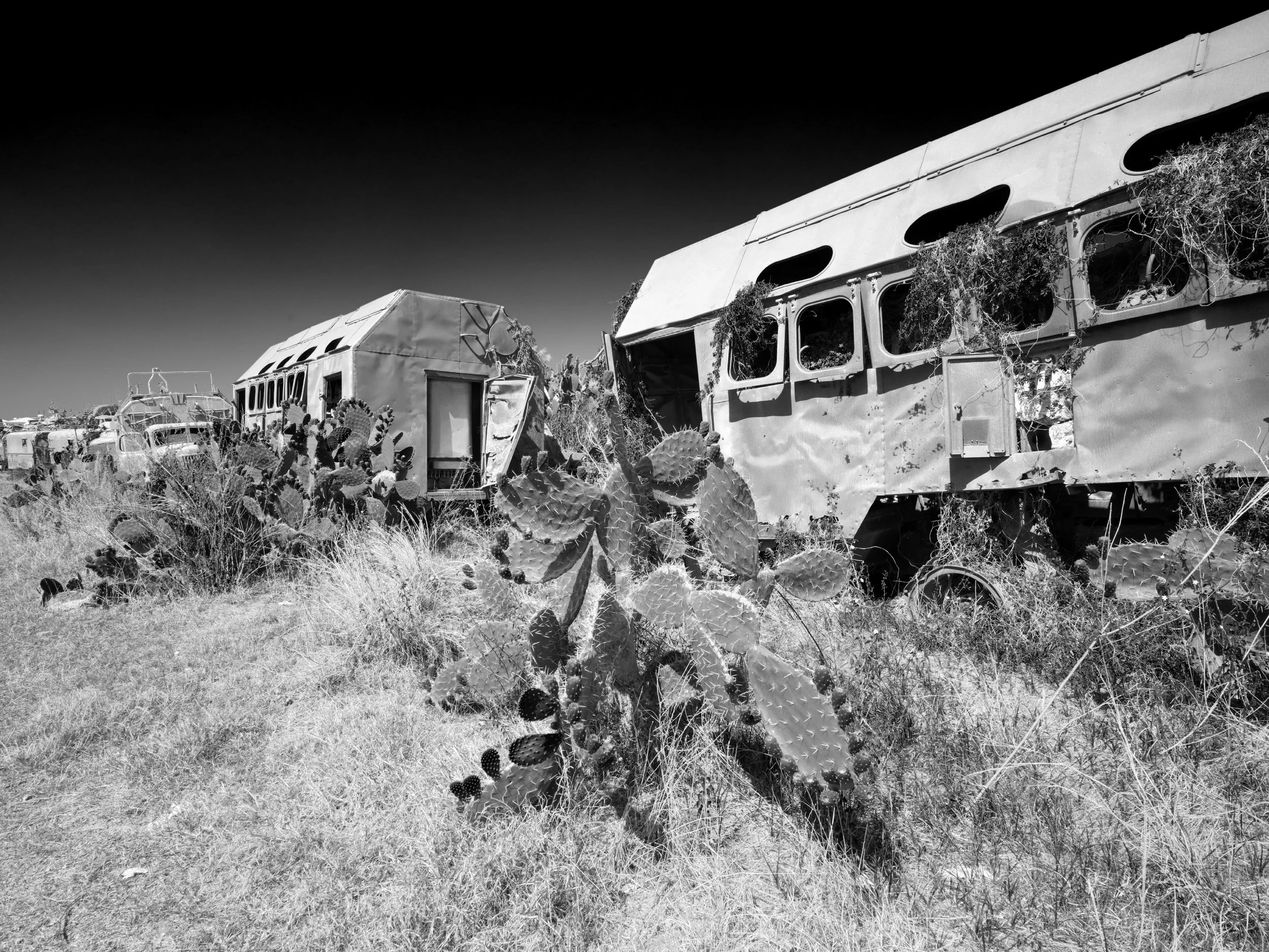 Trucks + Cacteen sw.jpg