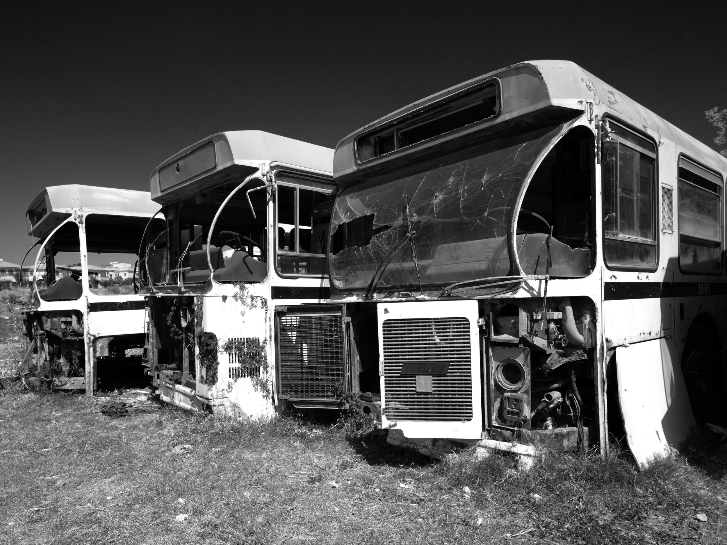 Busses sw.jpg