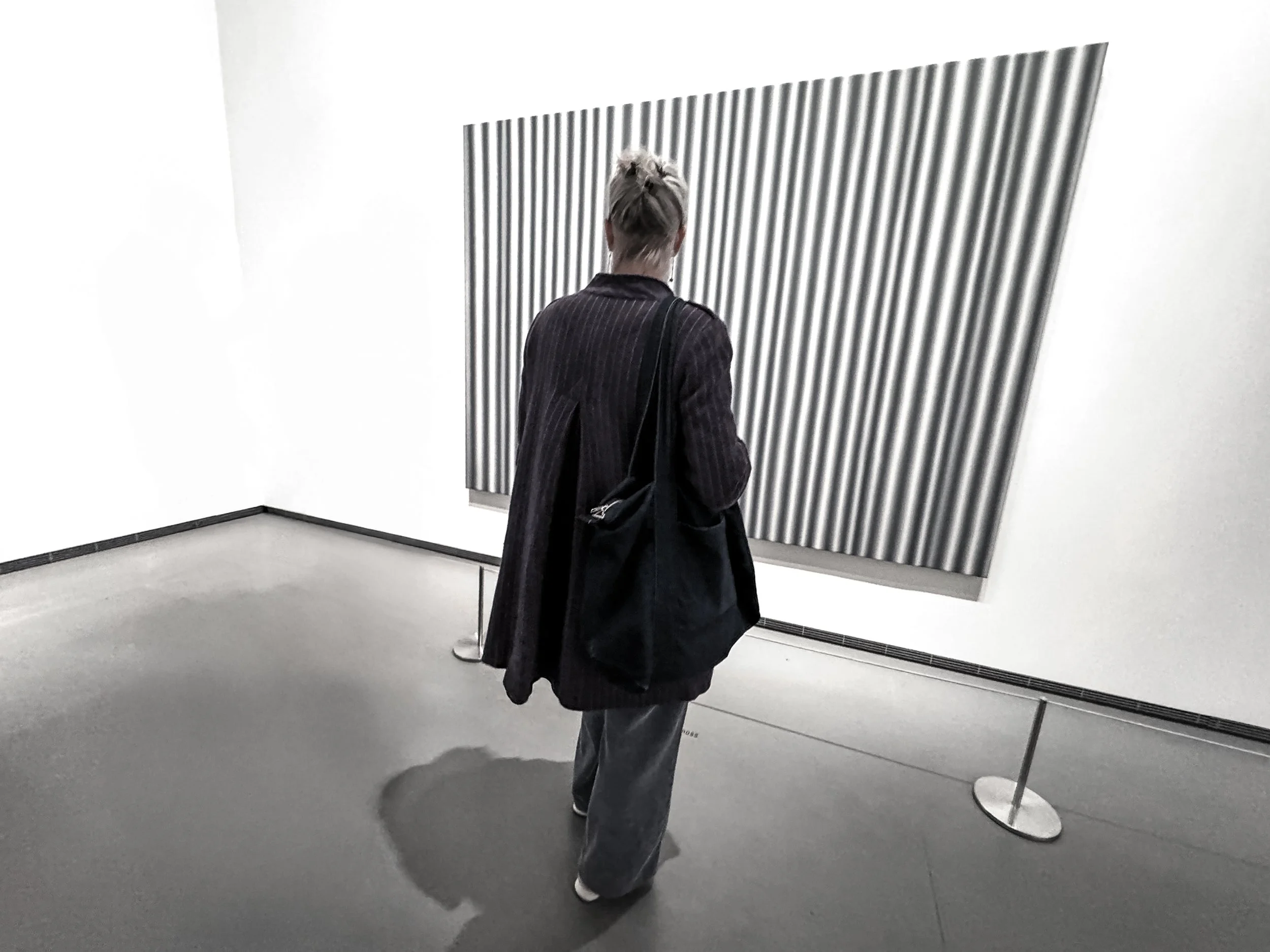 FLV (Gerhard Richter) 