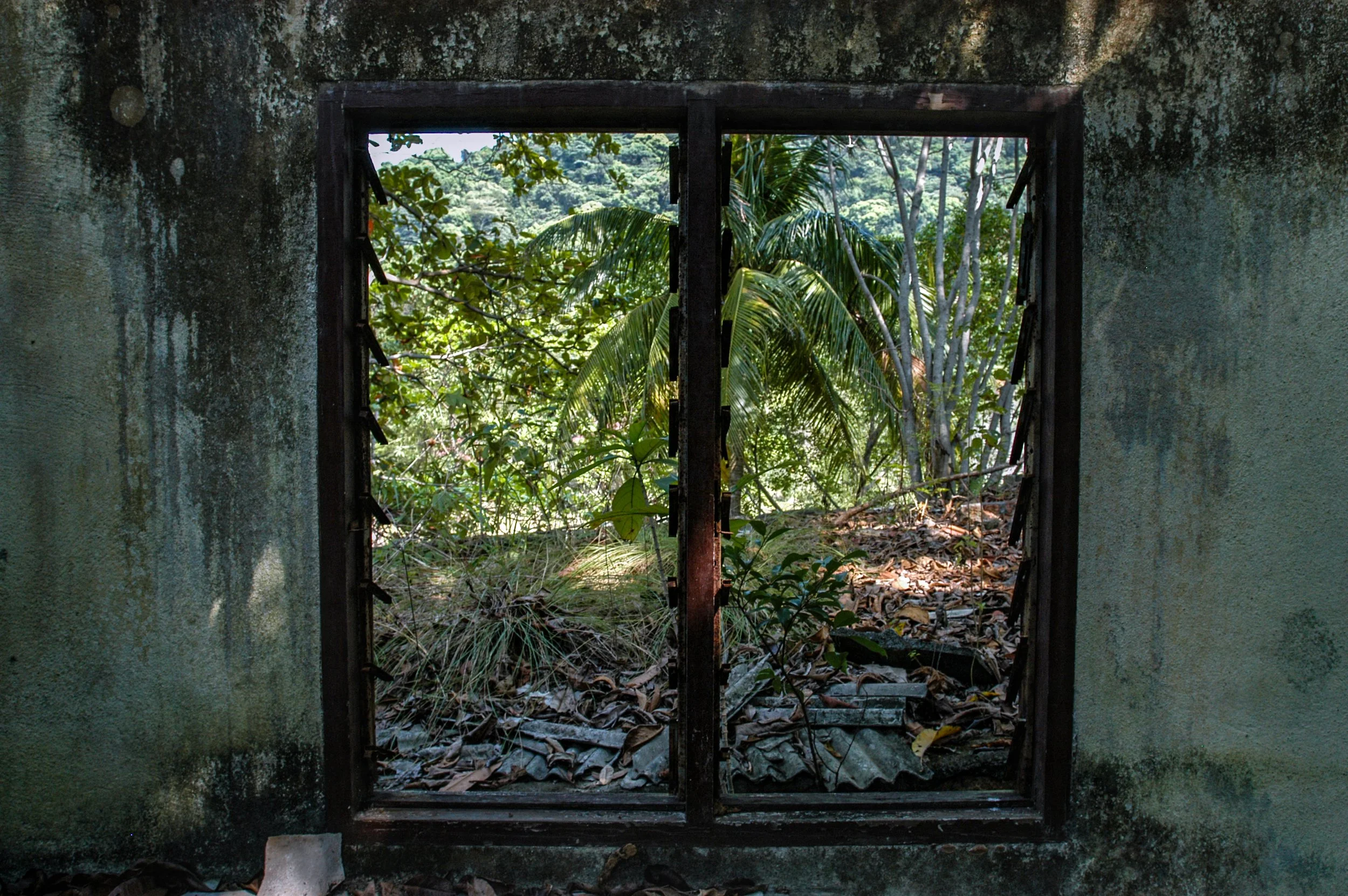 Fenster von innen.jpg
