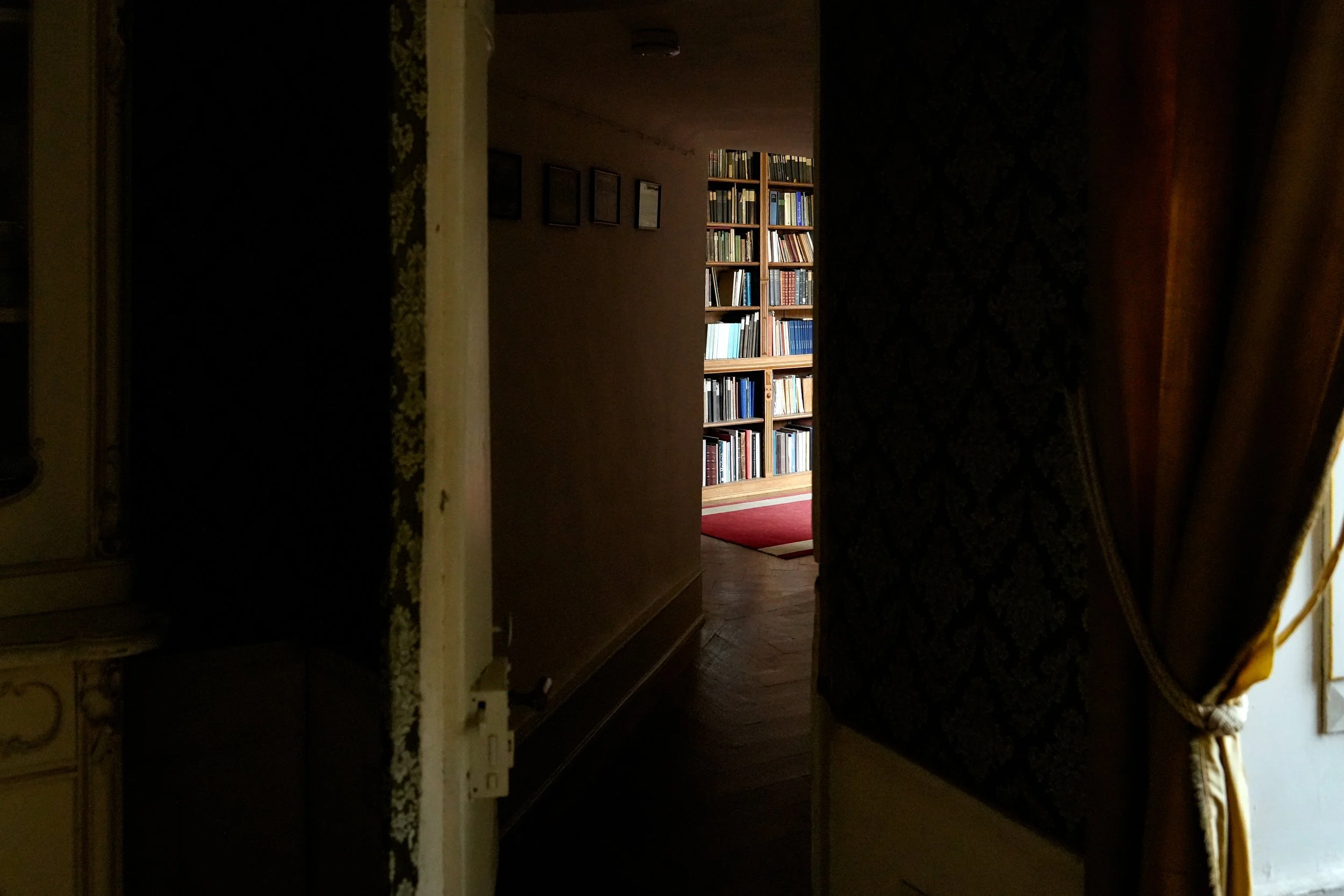 Bibliothek.jpg