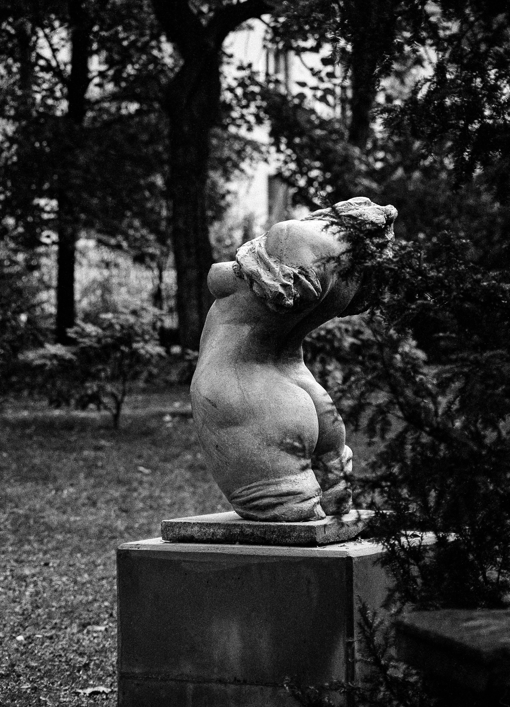Torso.jpg
