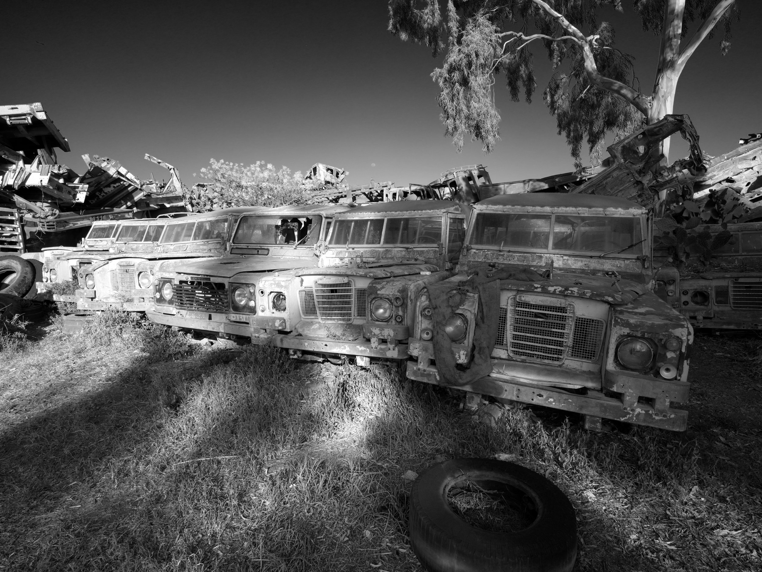 Landrovers sw.jpg