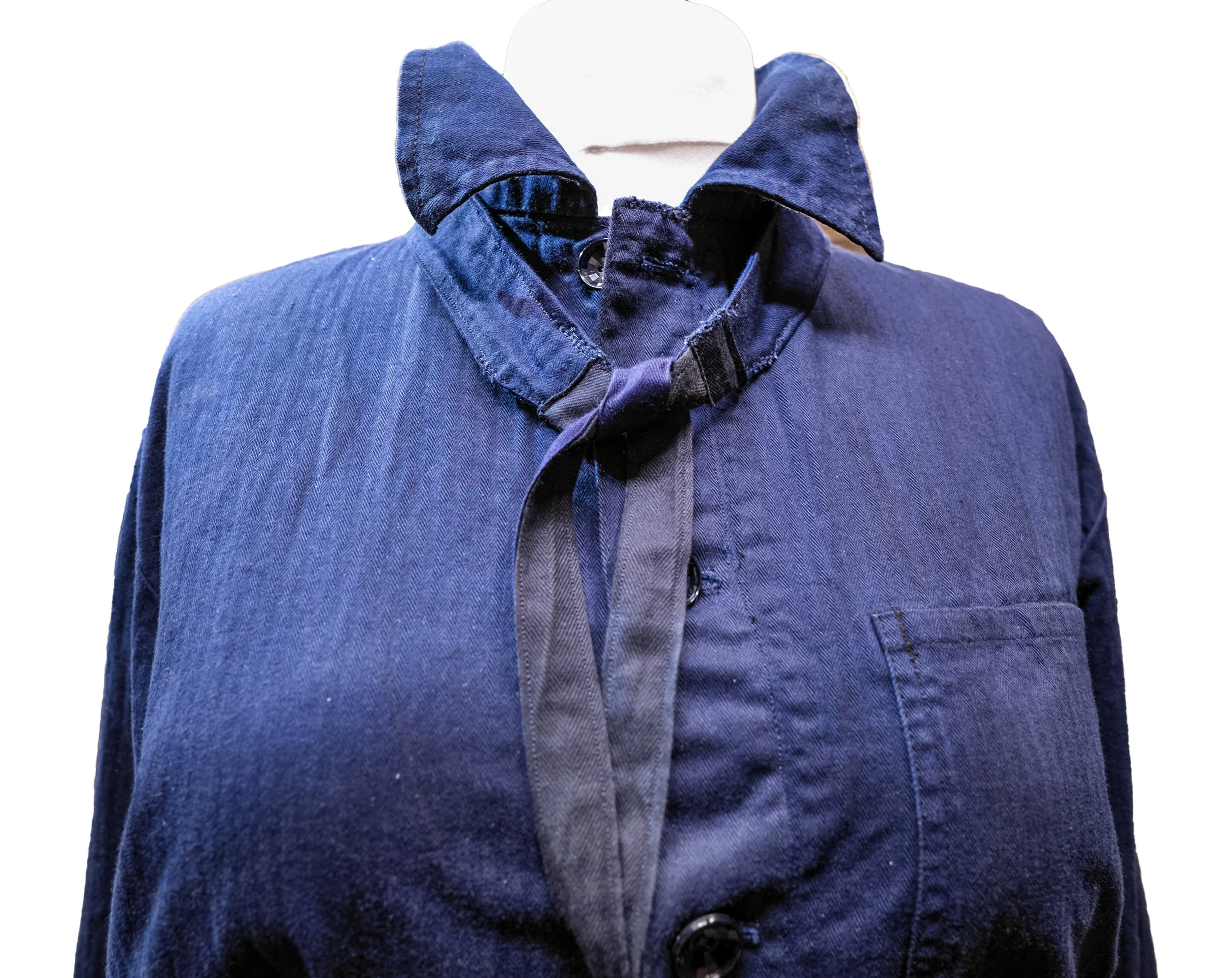 Blaufrau Brustbild.jpg