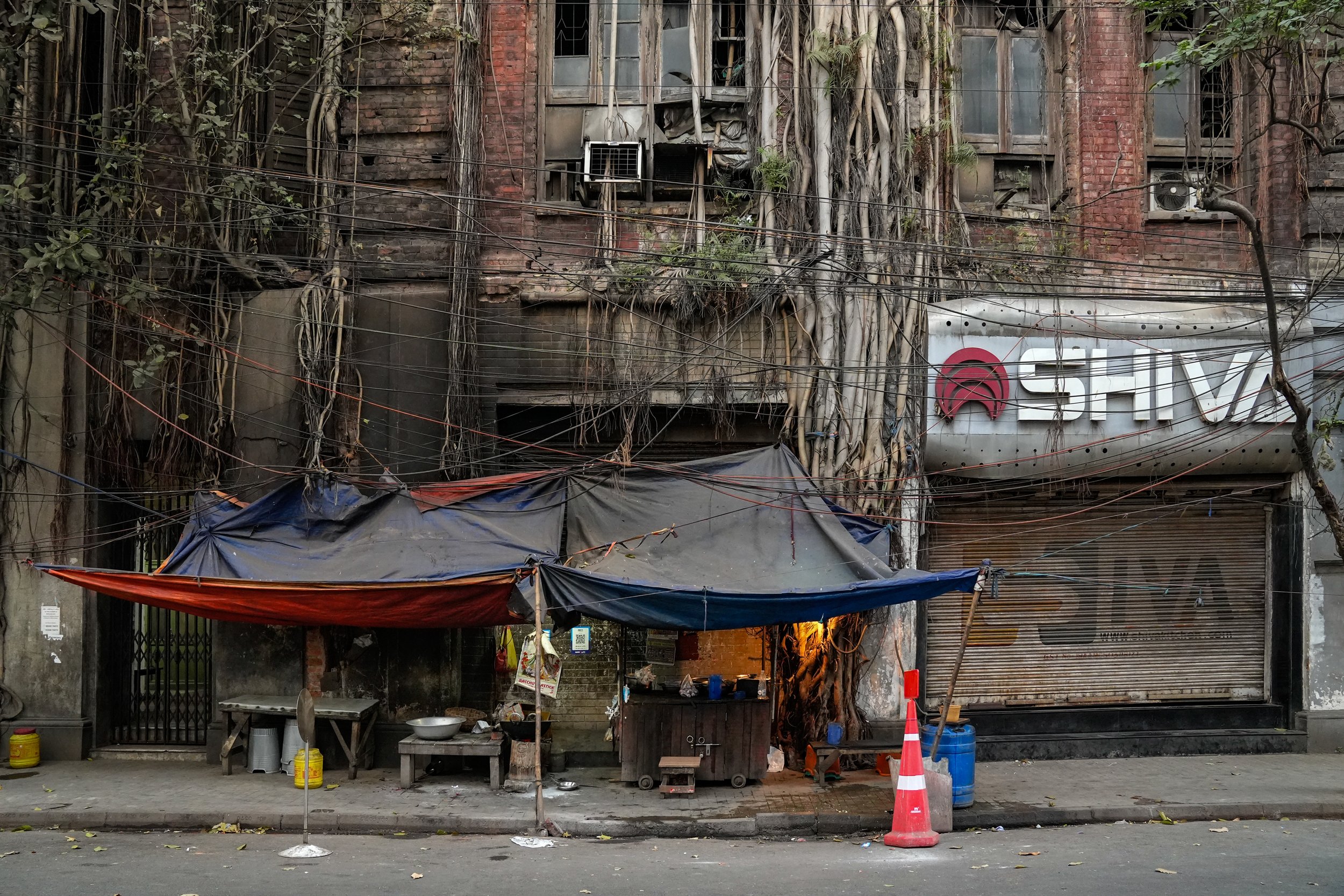 Shica Wurzeljaus.jpg