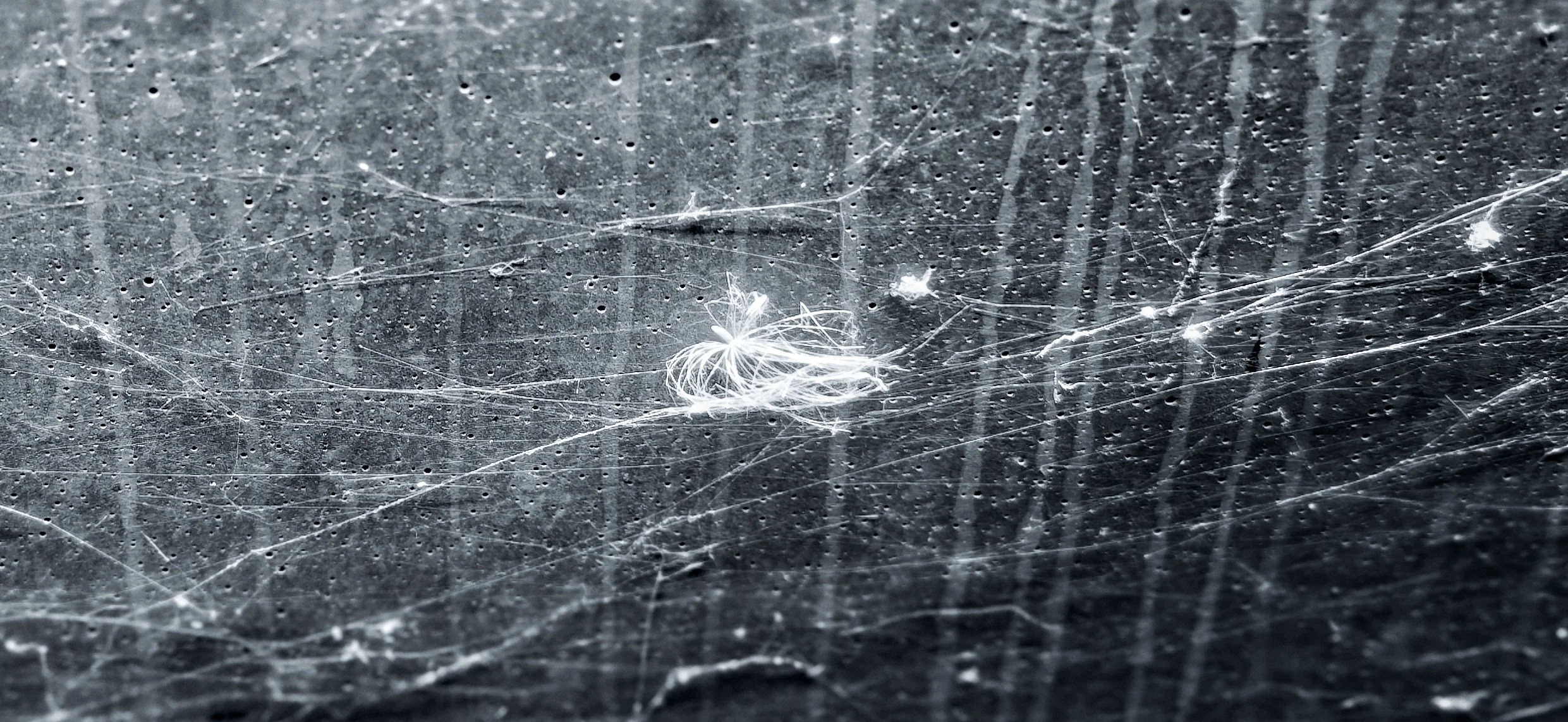 Detail.jpg