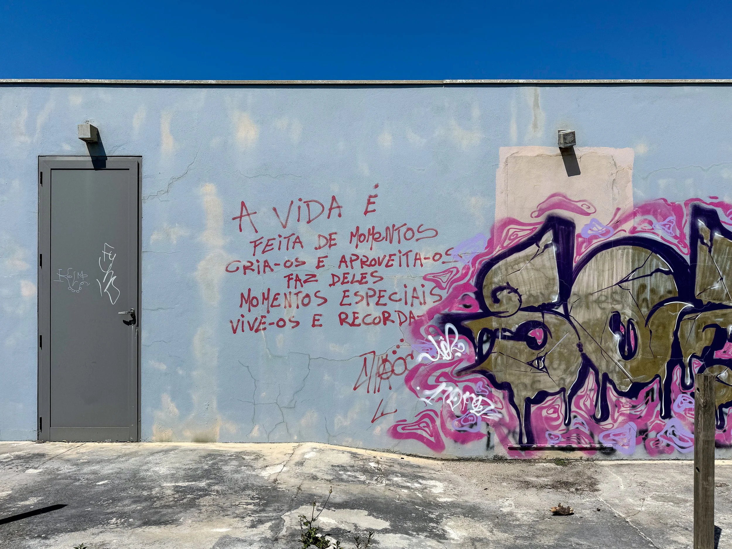 A vida.jpg