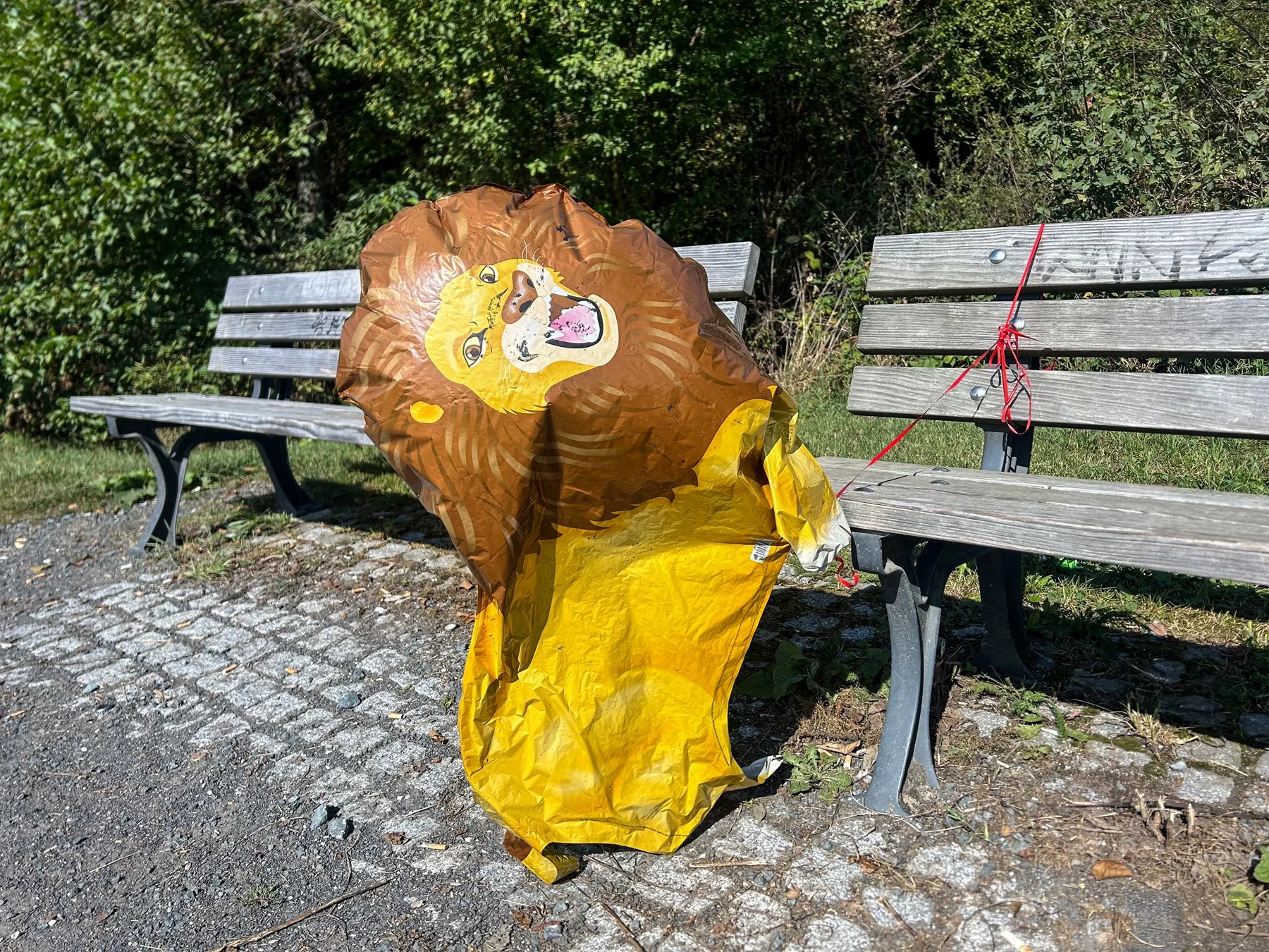 Buga, Ginnheim