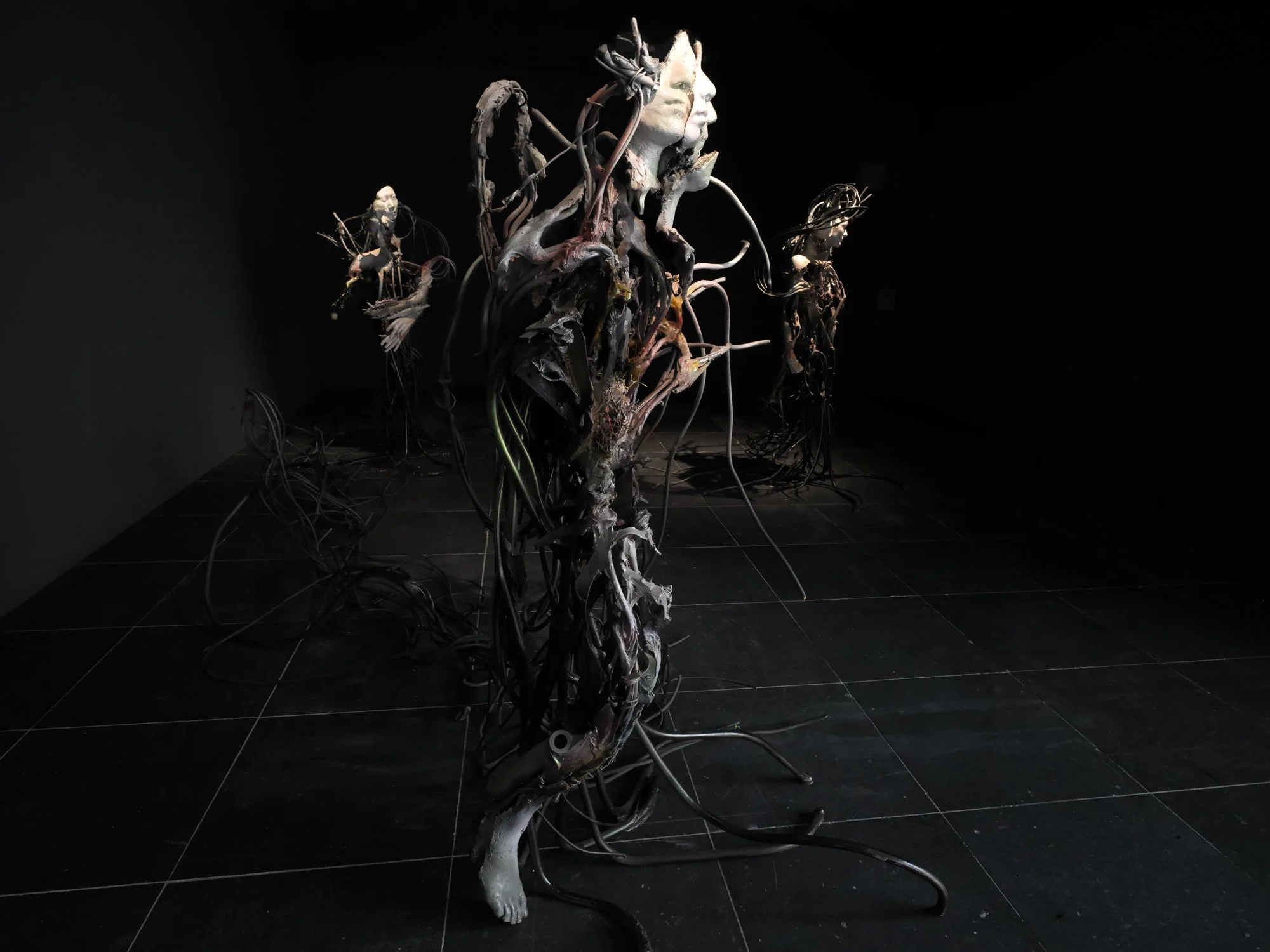 Anatomie der Fragilität, Frankfurter Kunstverein