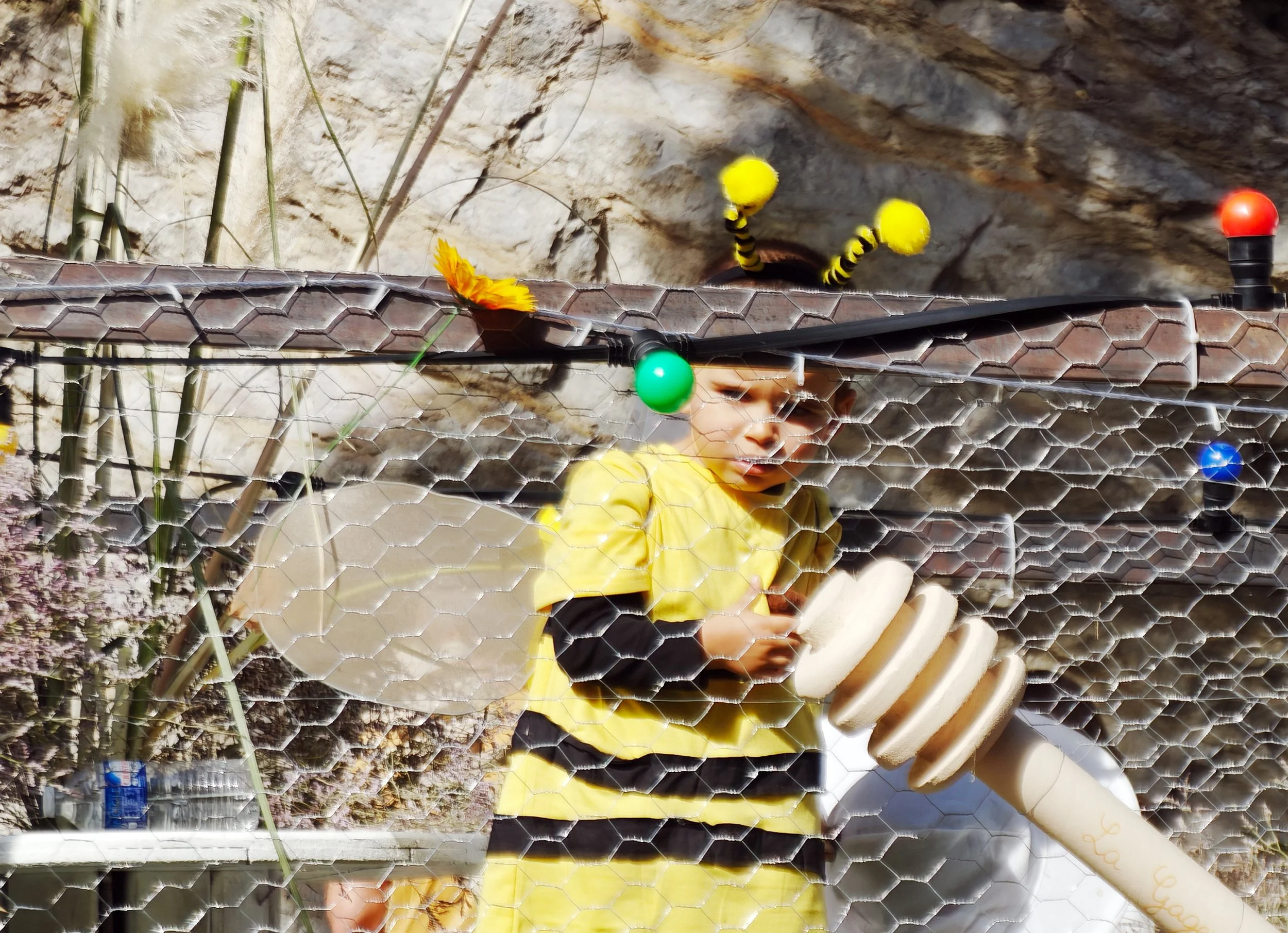 Bienchen.jpg