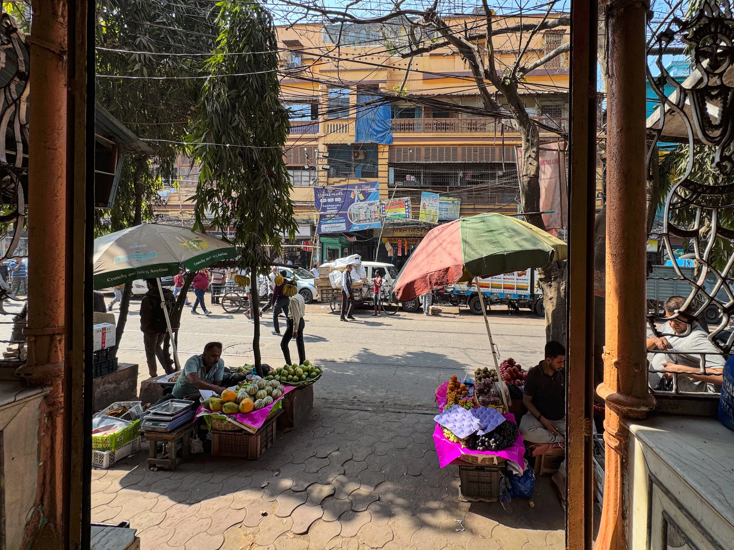 Blick nach draußen.jpg