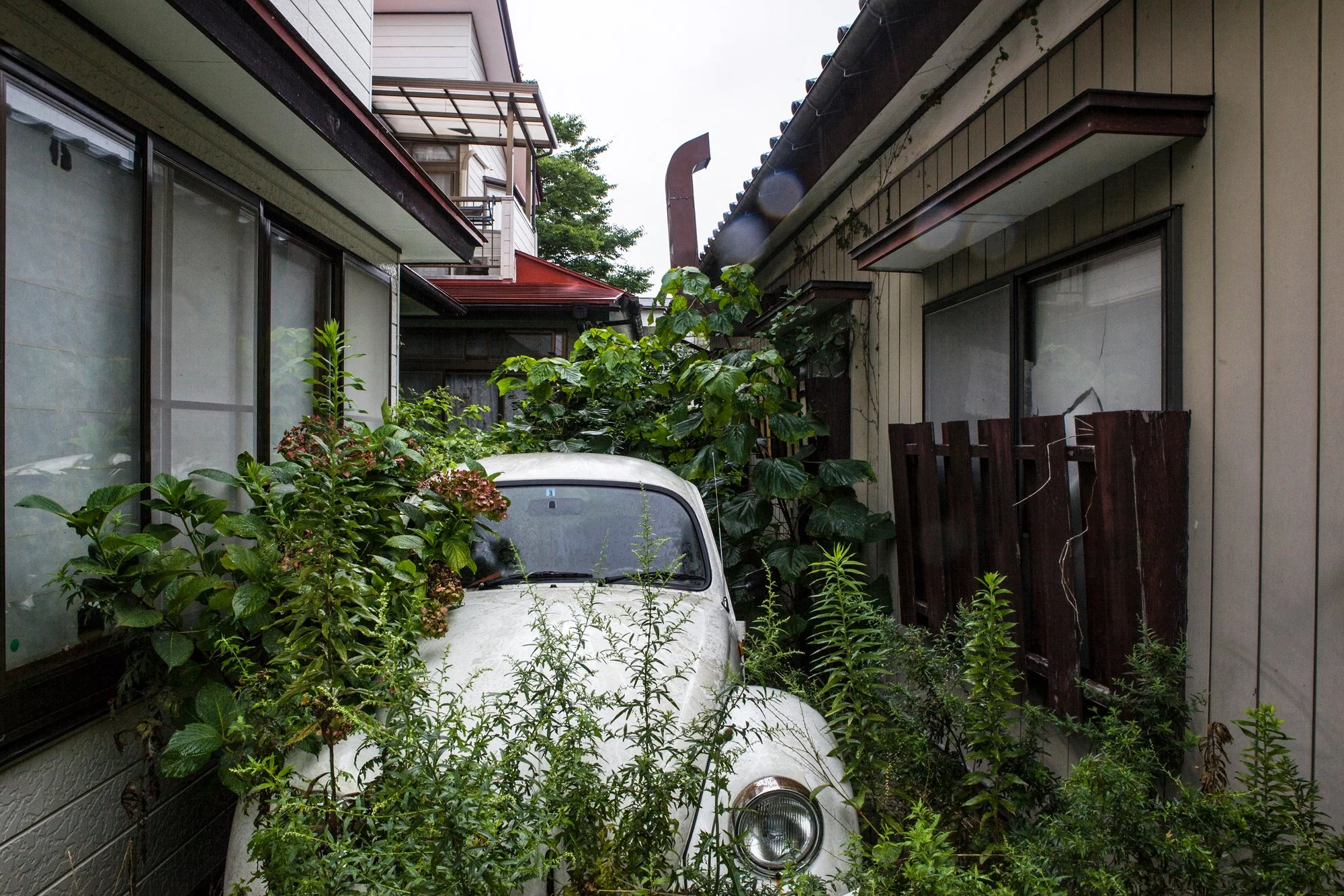 Immobile Fukushima