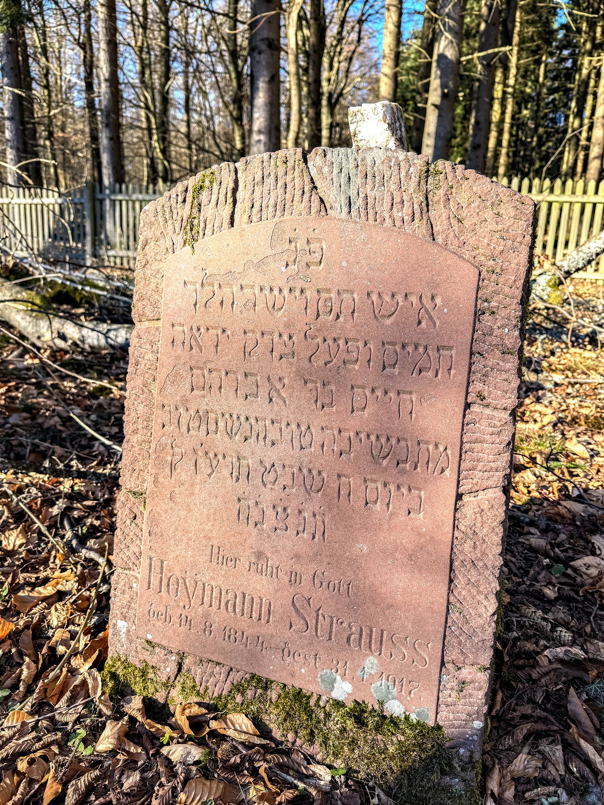 Strauss.jpg