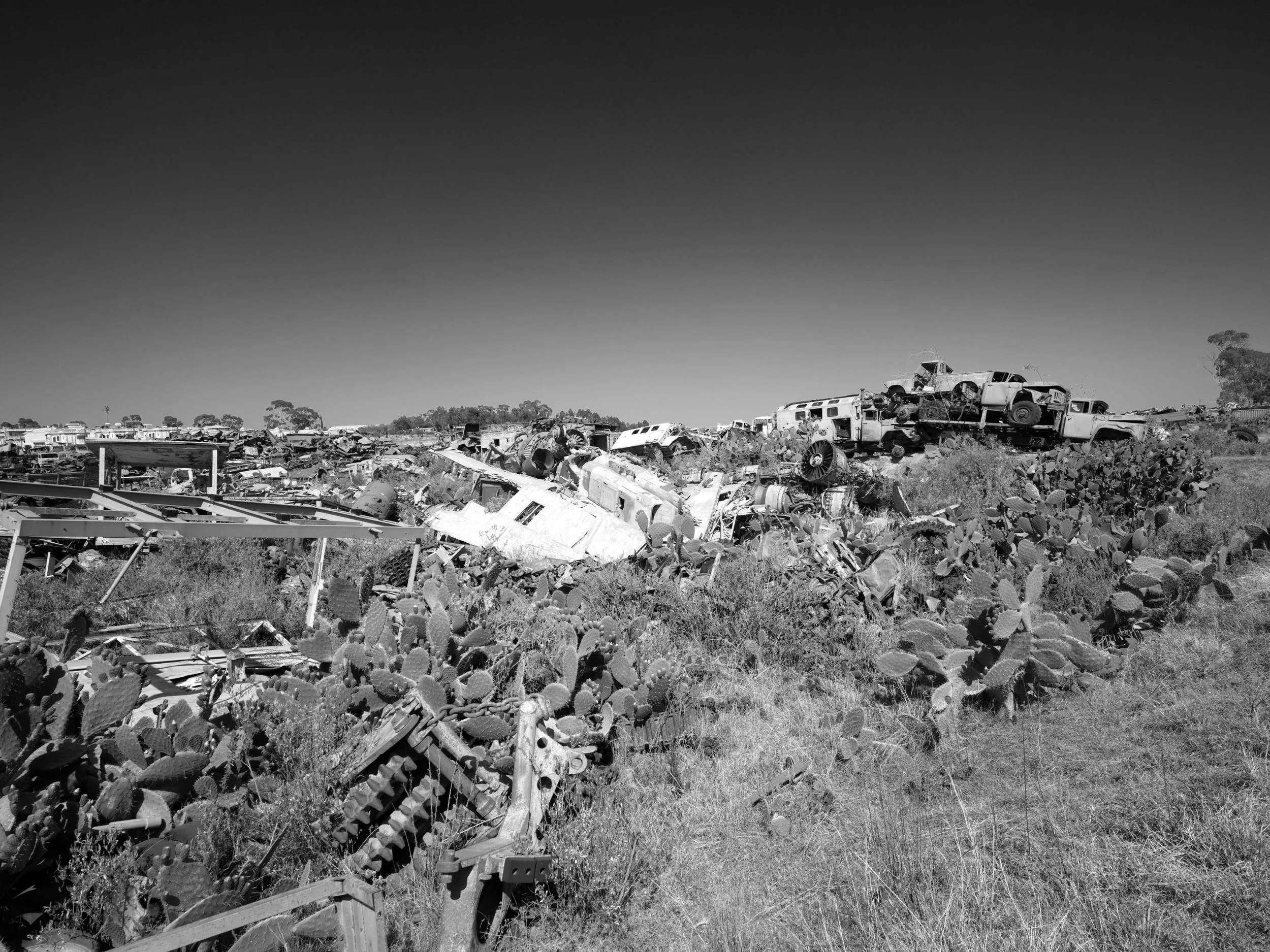 yard 3sw.jpg