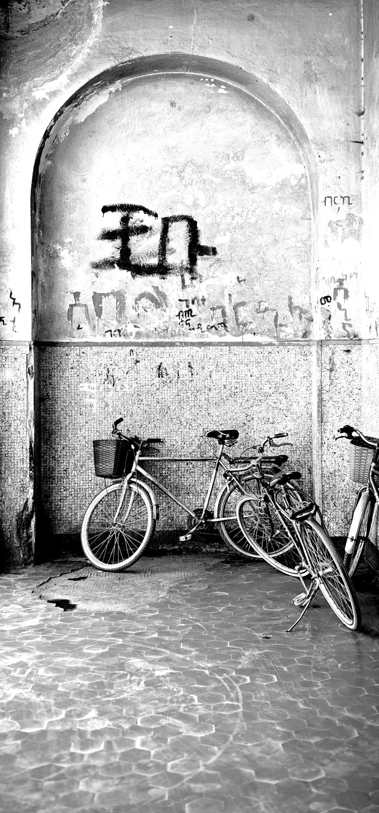Fahrräder Bogen.jpg