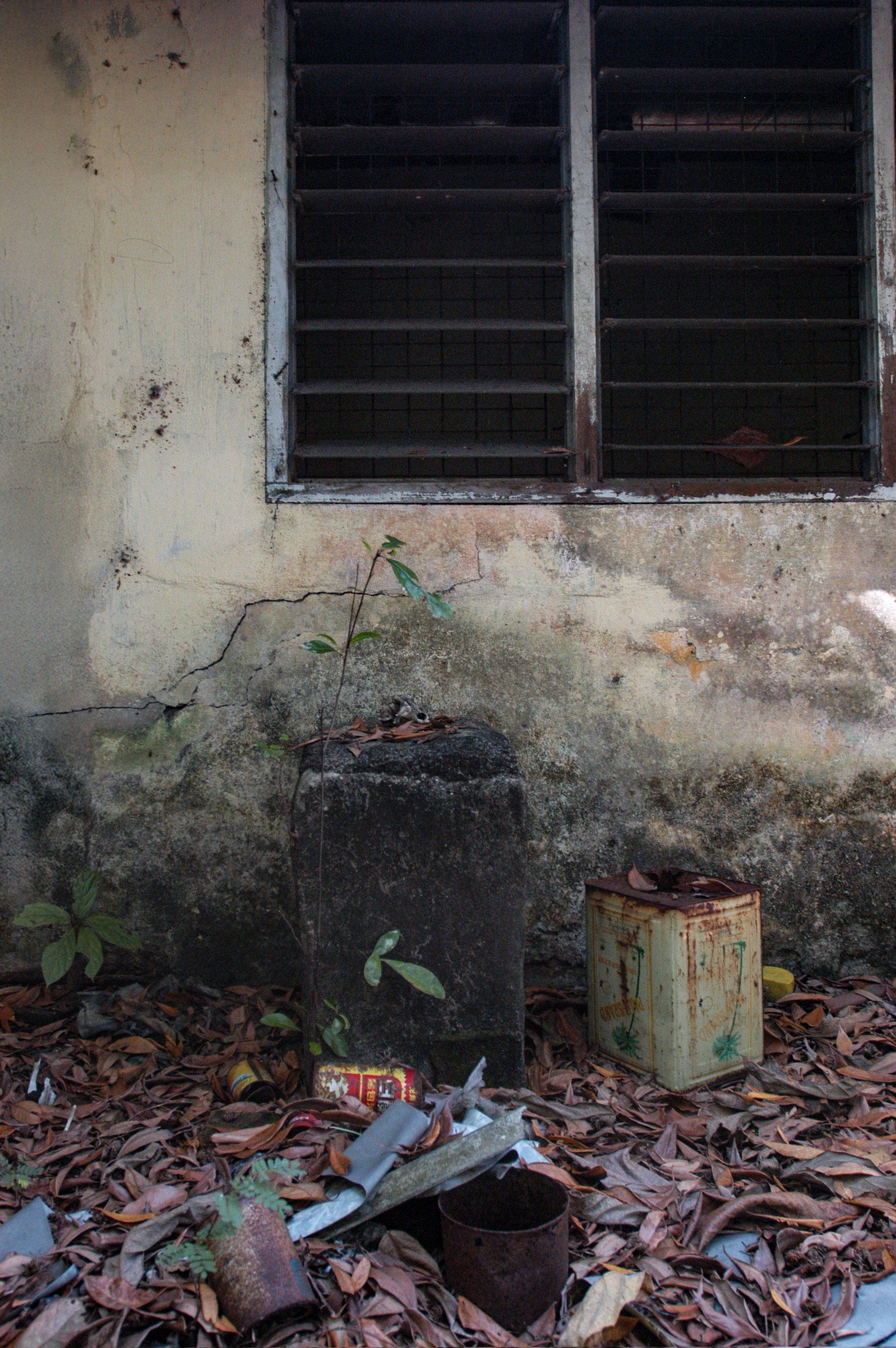 Fenster & Rubbish.jpg