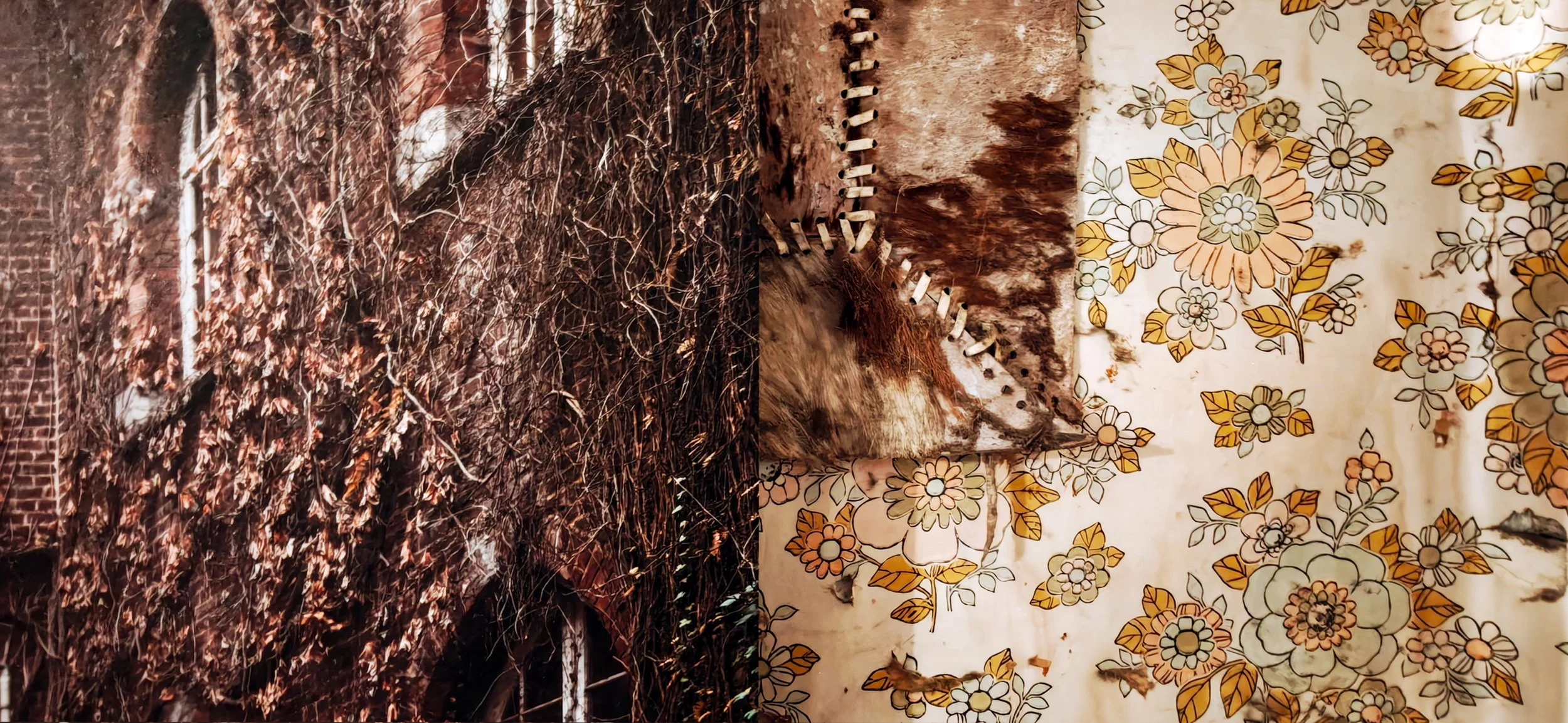 Juxtaposition No. 3 with a photograph by Gina Soden