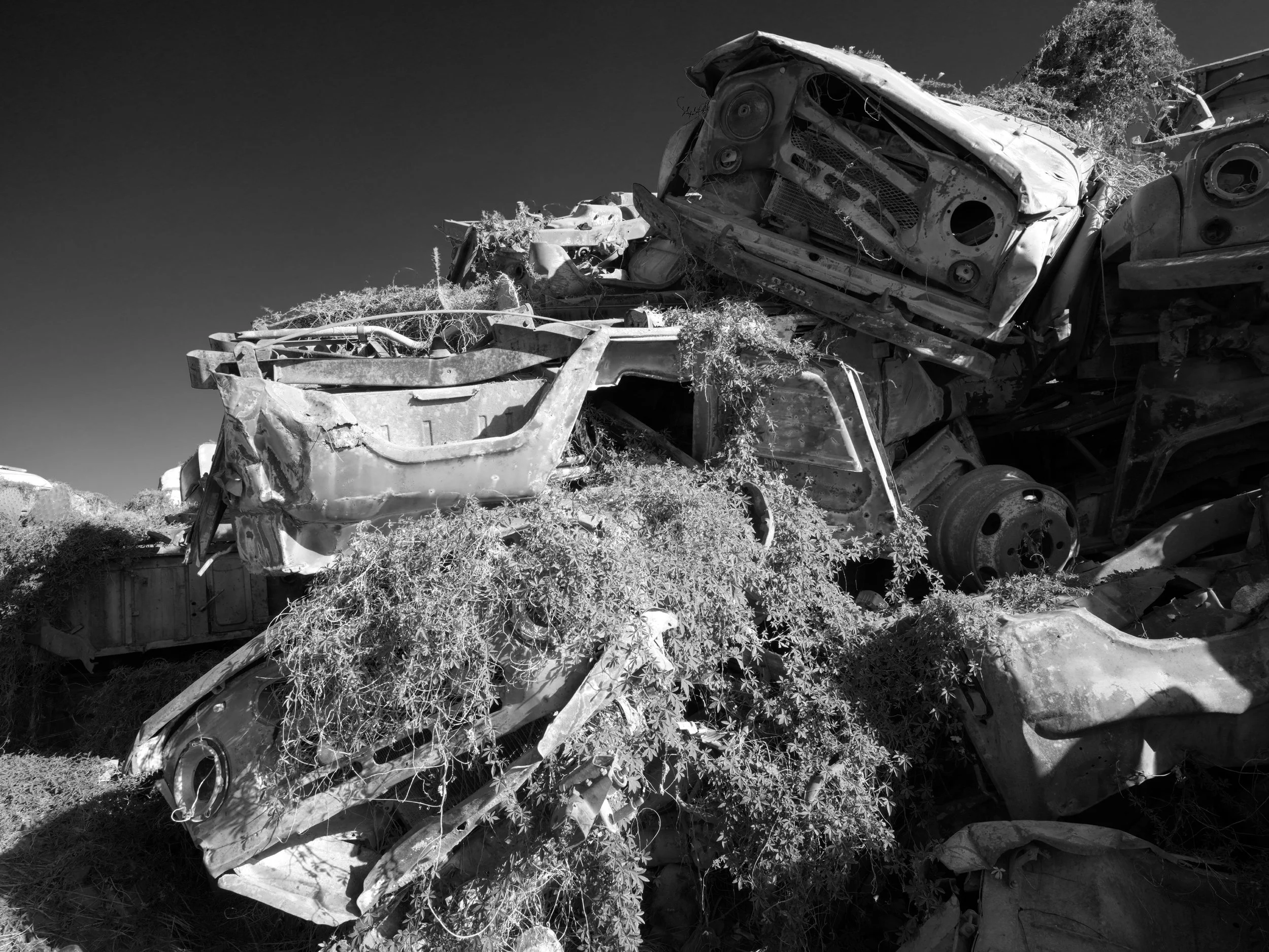 Car bodies 2 sw.jpg