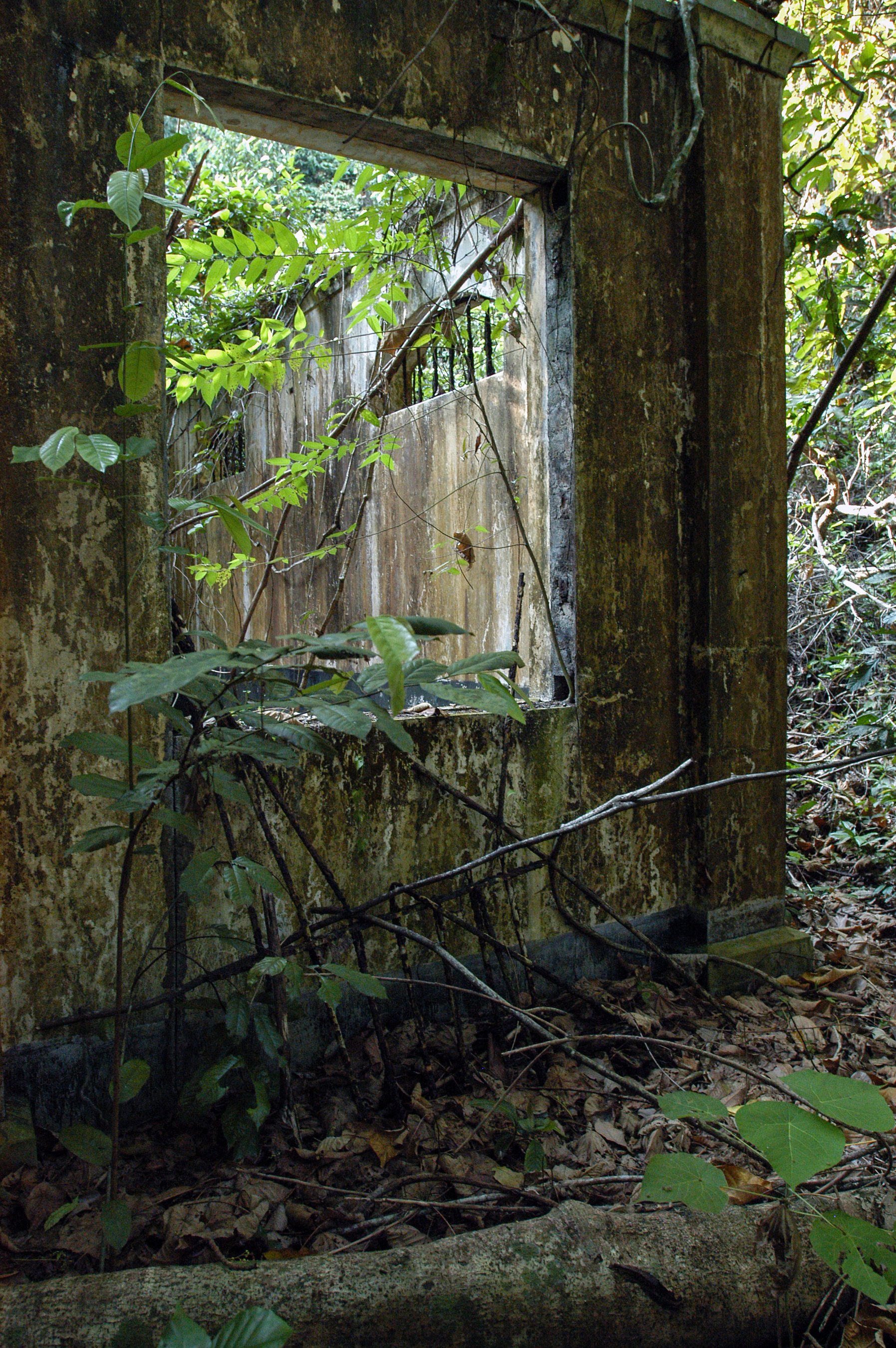 Ruine 6.jpg