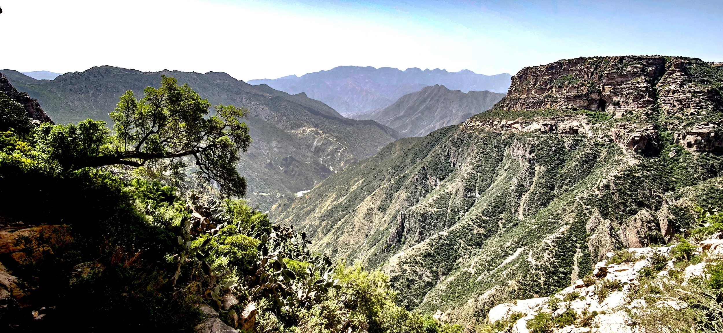 Canyon farbe.jpg