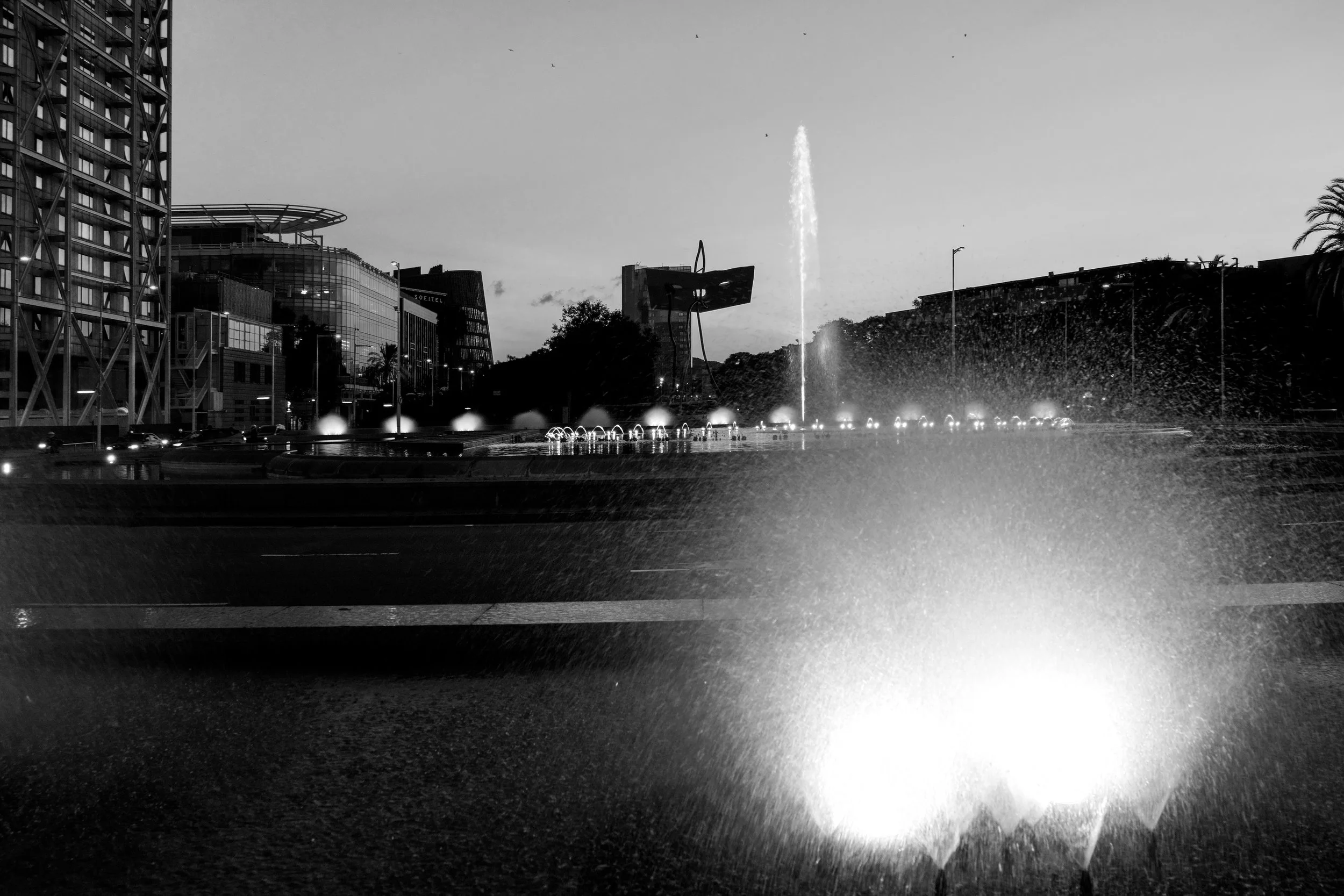 _DSC9694.jpg