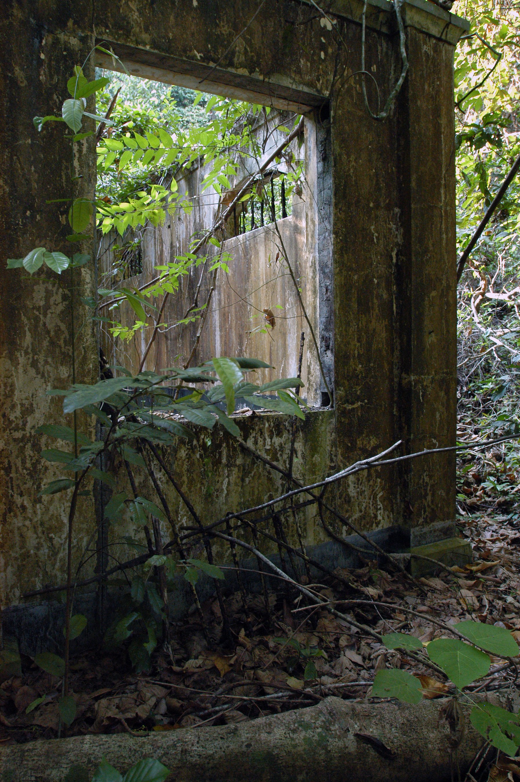 Ruine 6.jpg