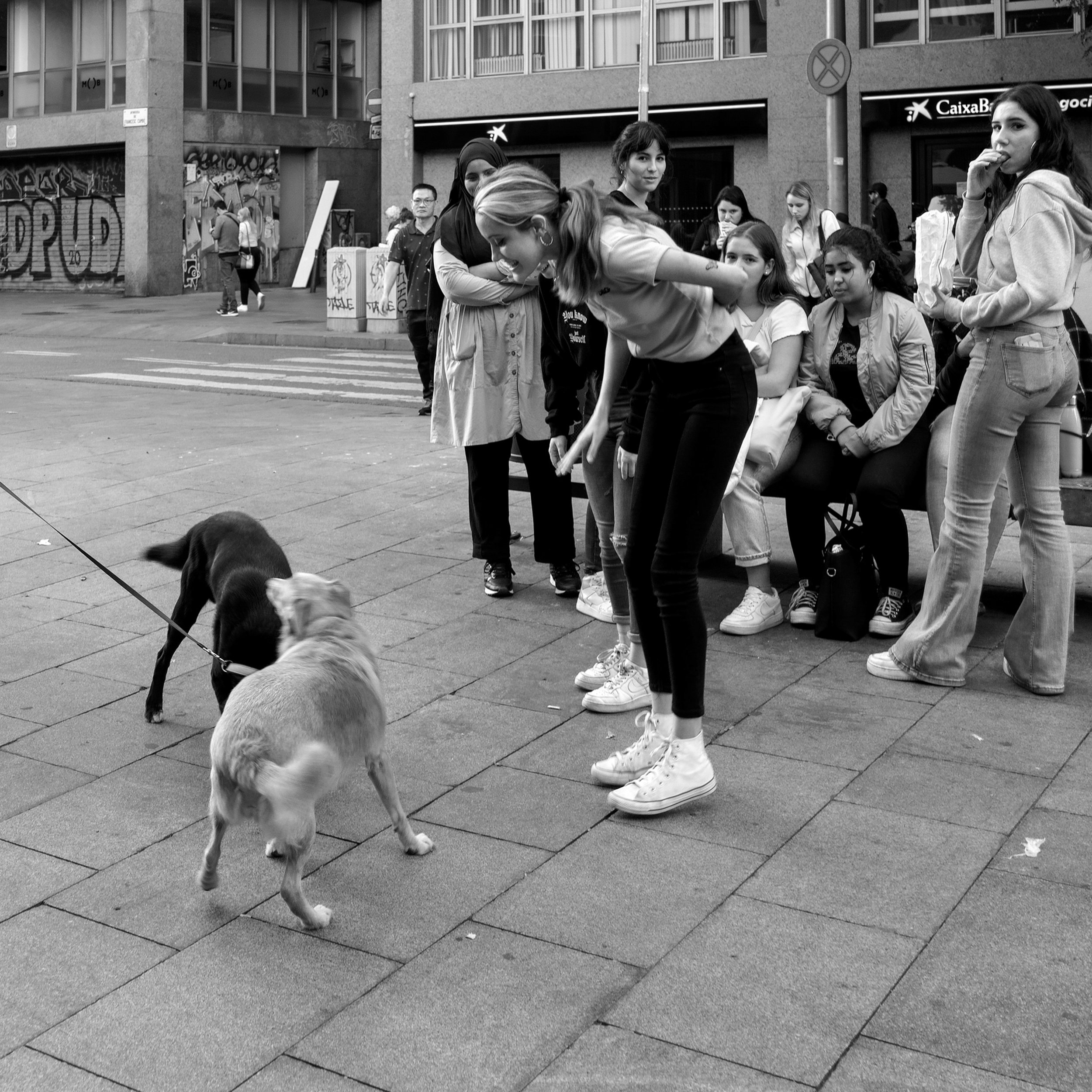 Hunde Girls sw.jpg