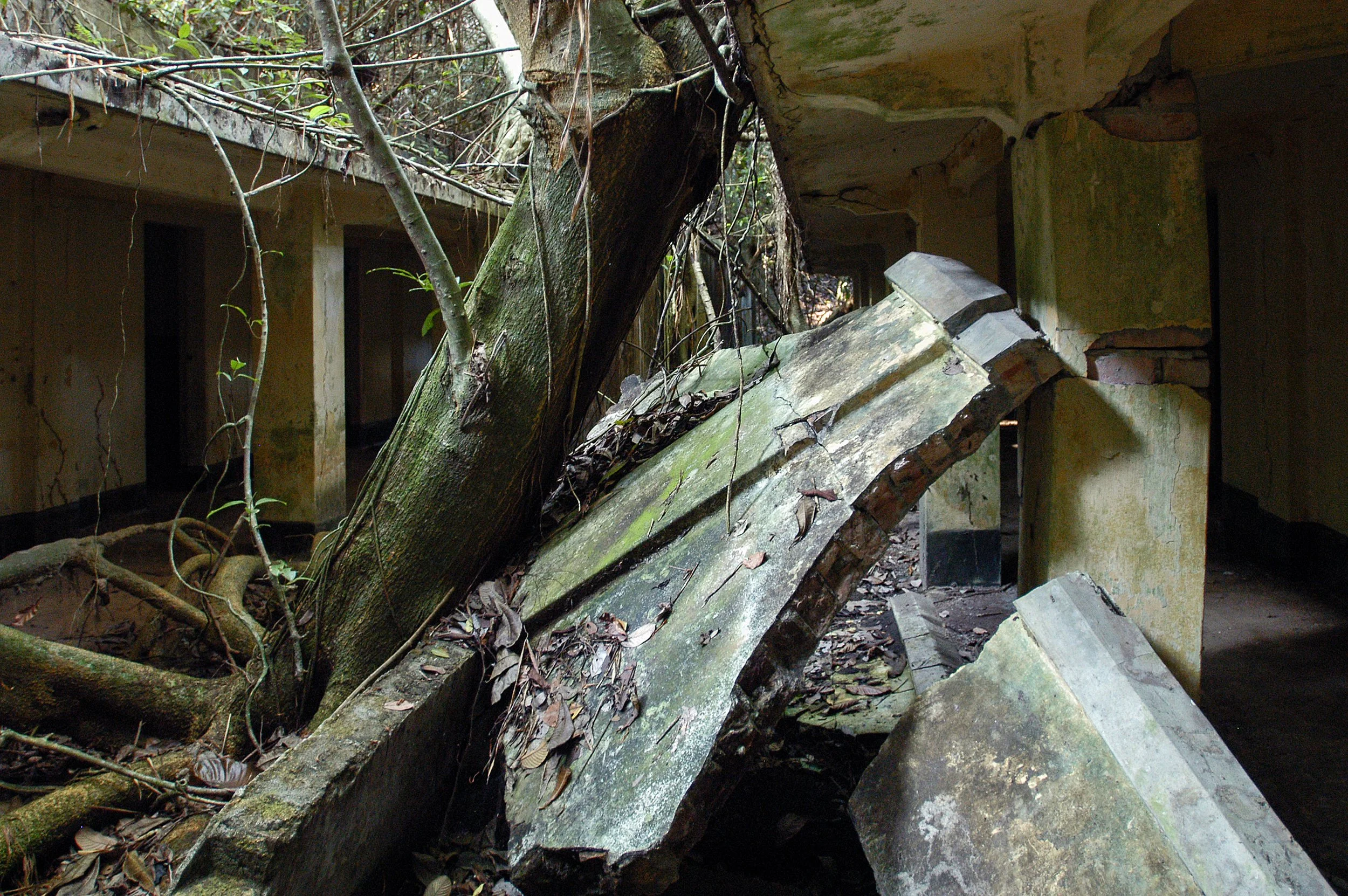 Ruine 3.jpg