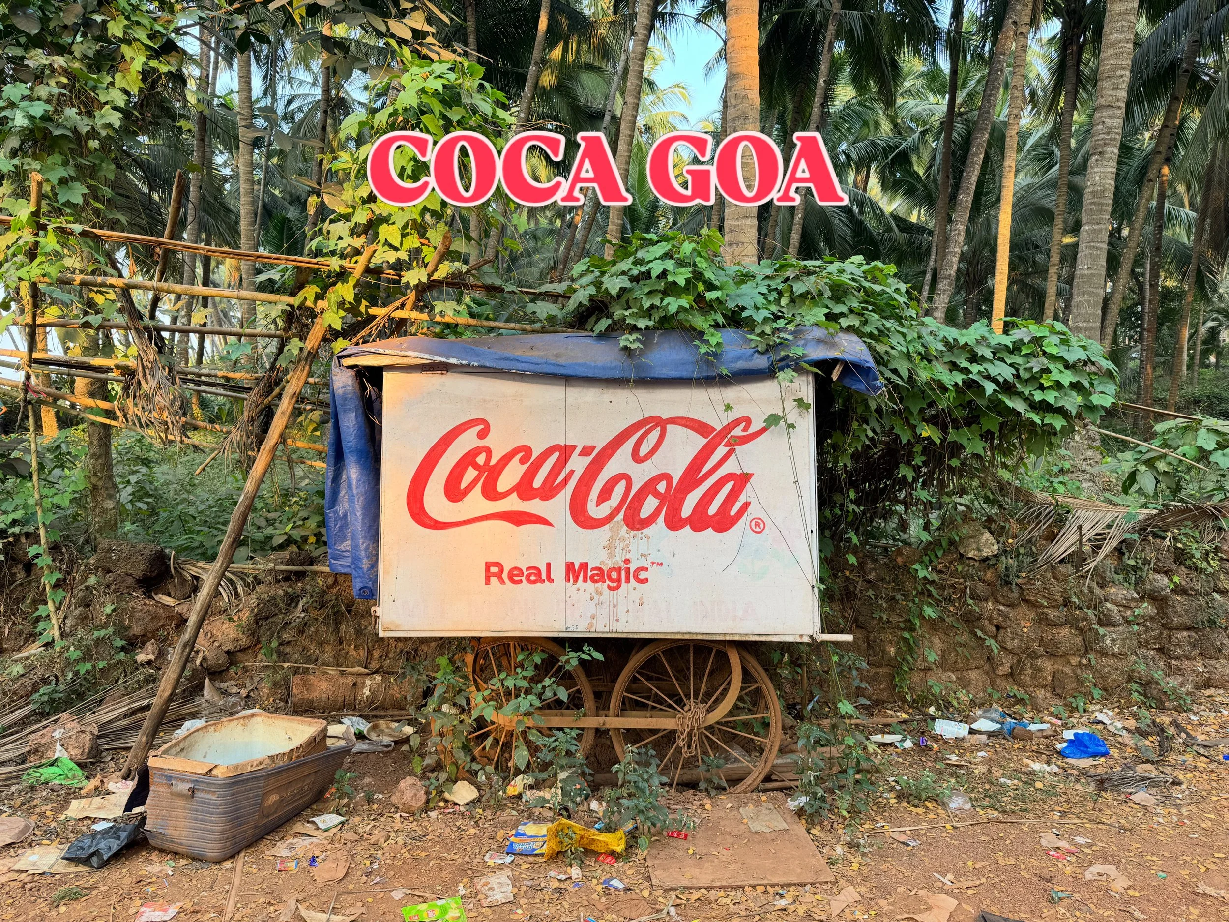 Coca Goa 26