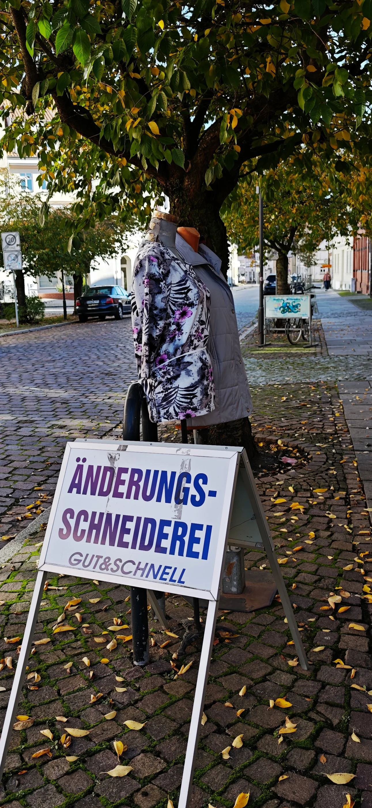 Salzwedel