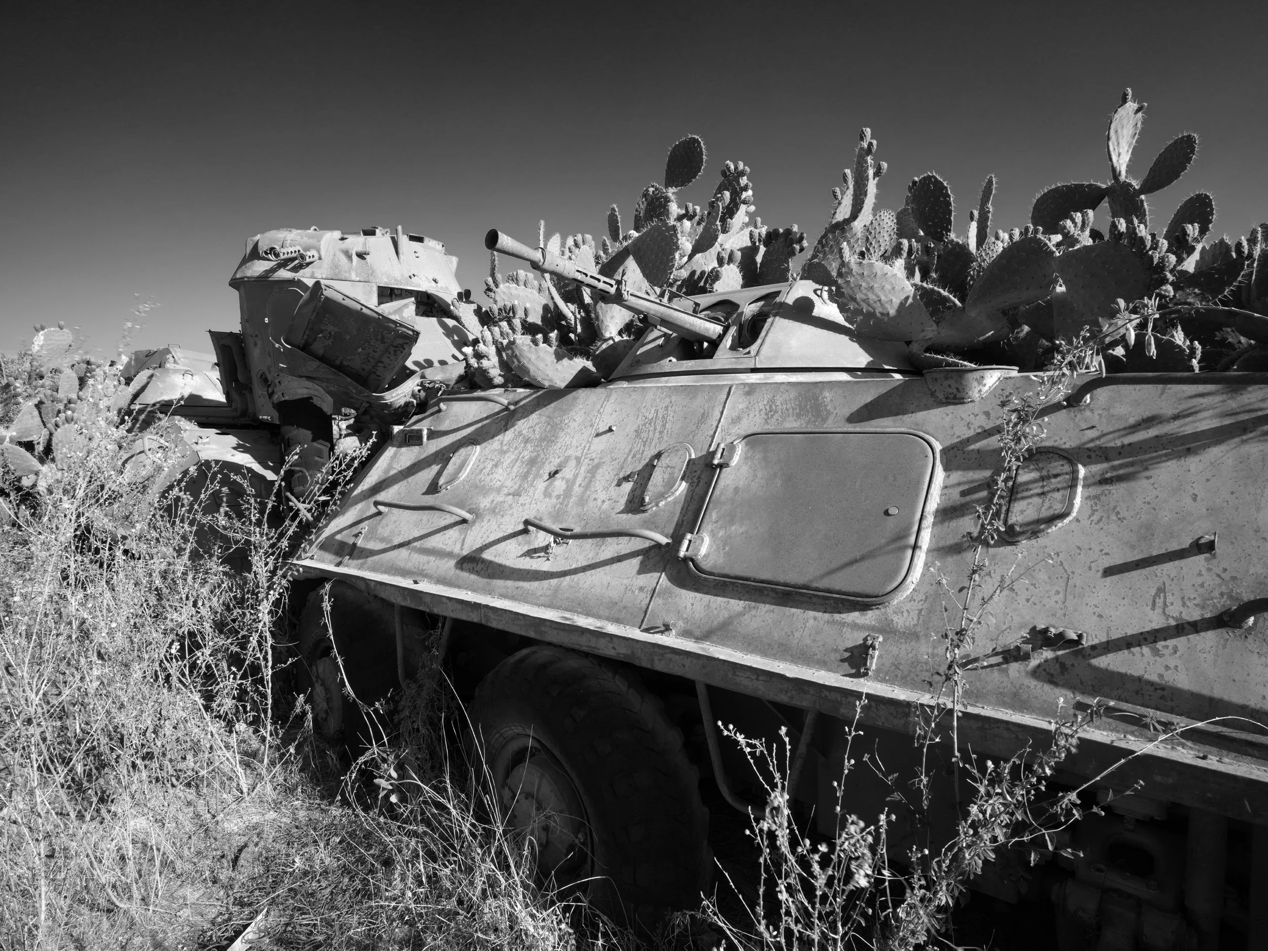 Radpanzer Kanone sw.jpg